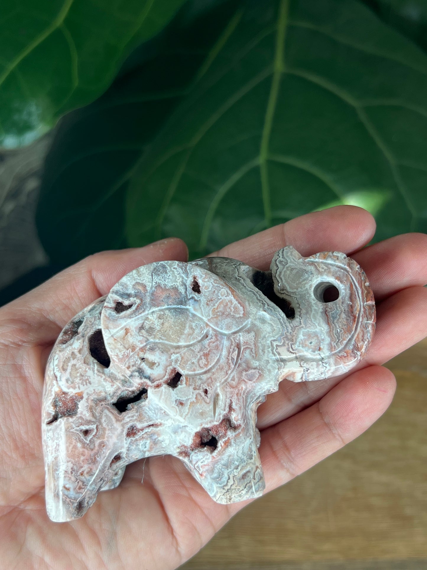 Crazy Lace Agate Elephant