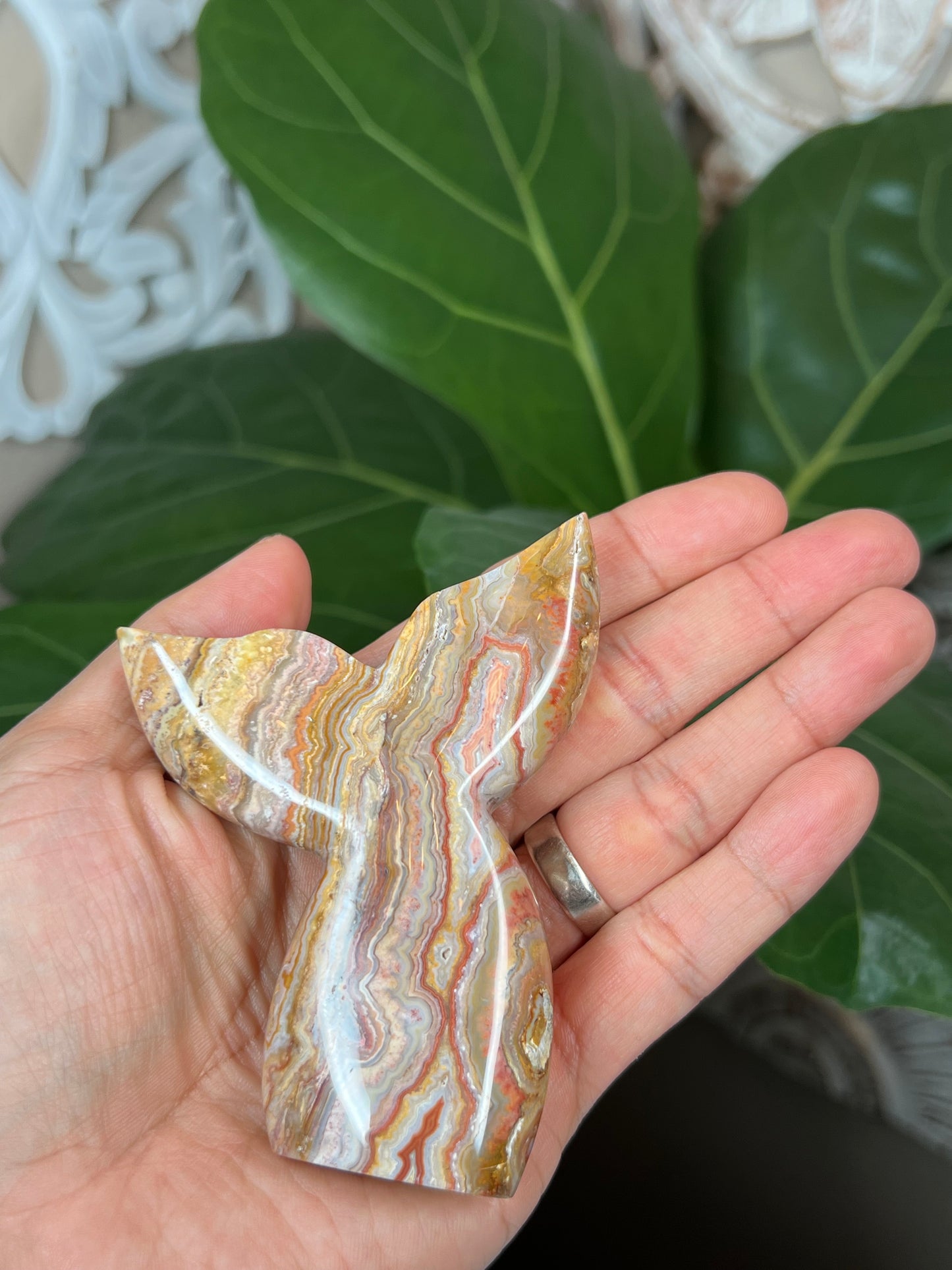 Crazy Lace Agate Mermaid tail