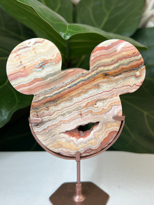 Crazy Lace Agate Bear Head