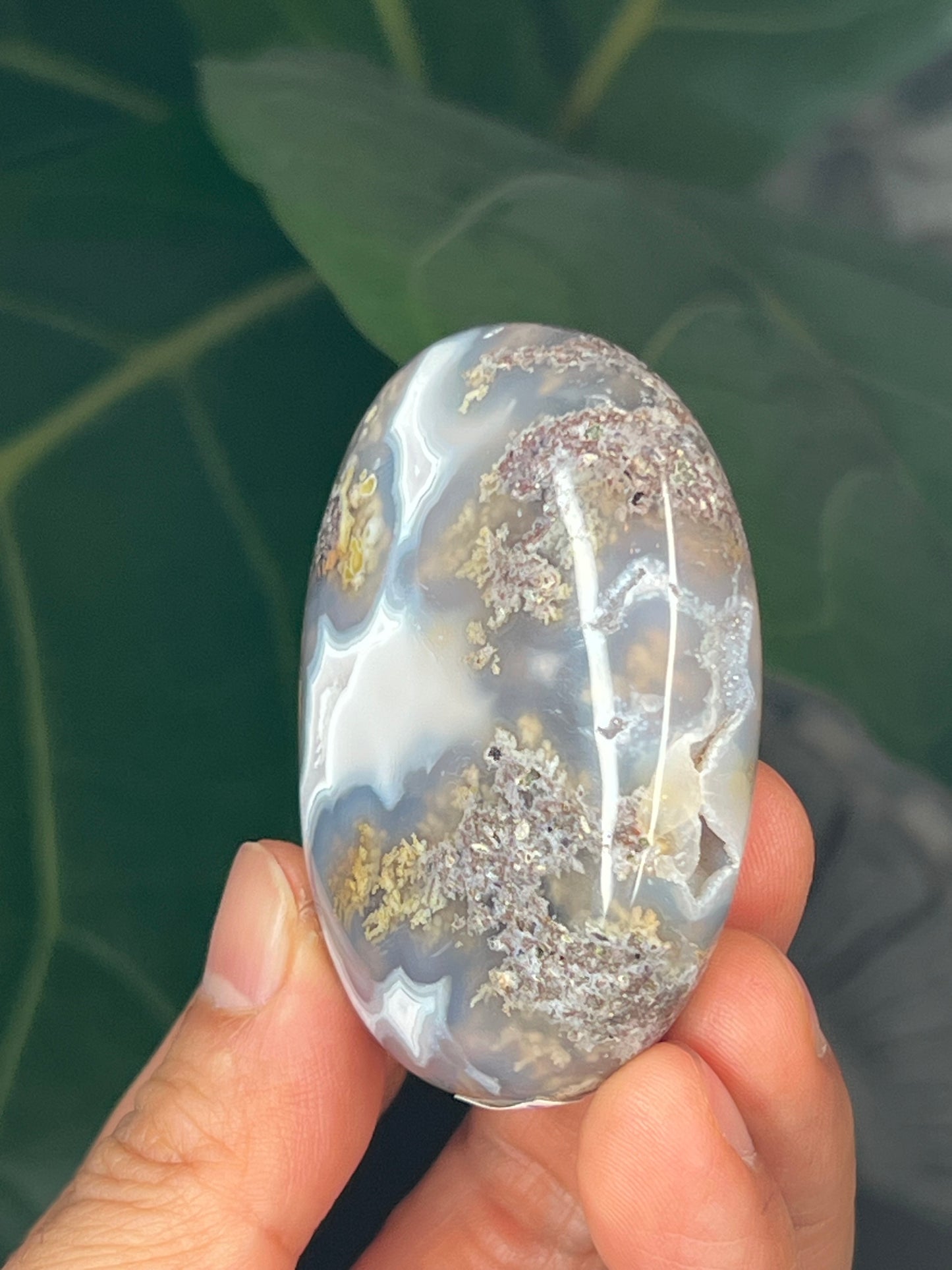 Scenic Moss Agate Palmstone