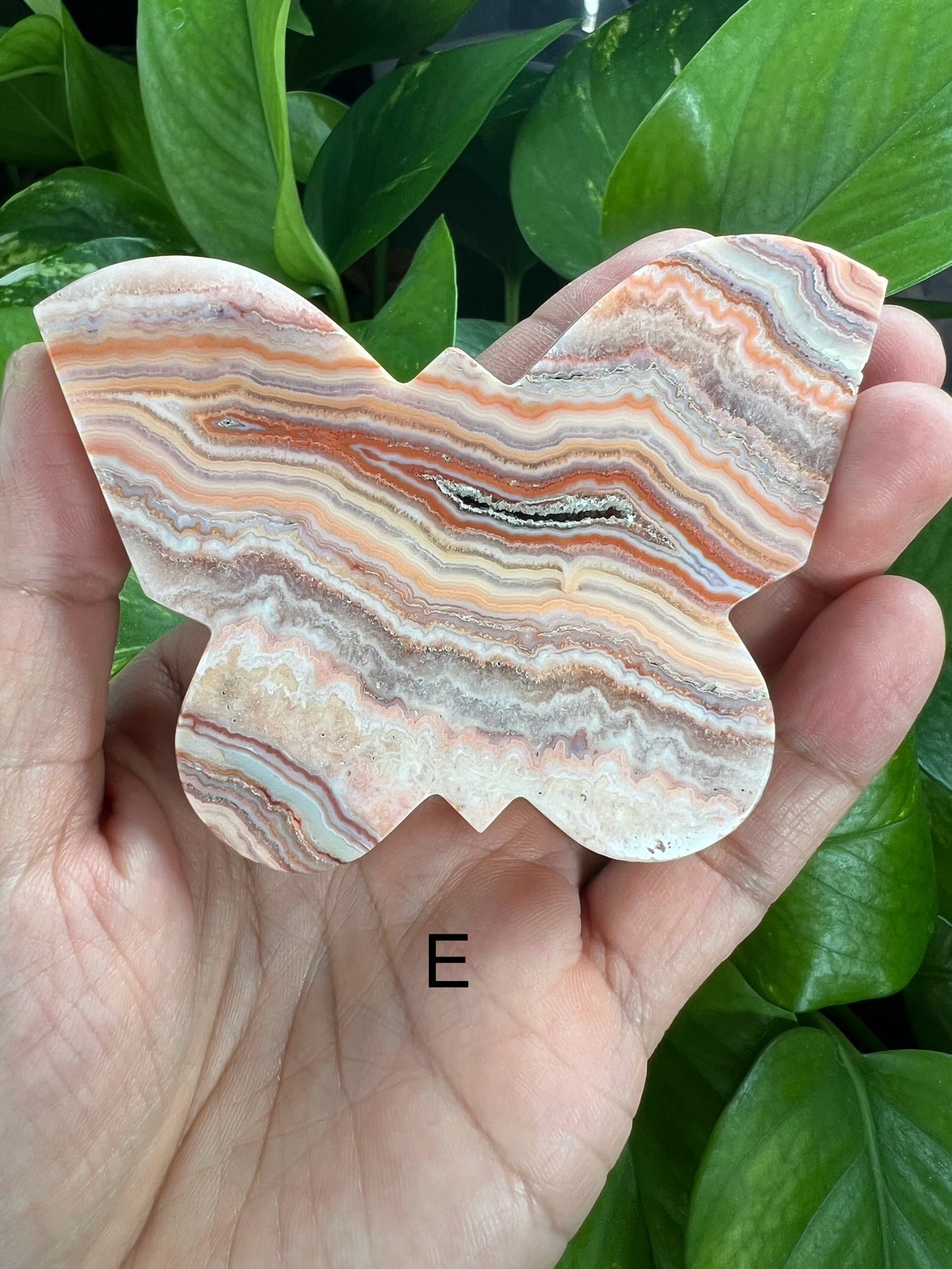 Crazy Lace Agate Butterfly