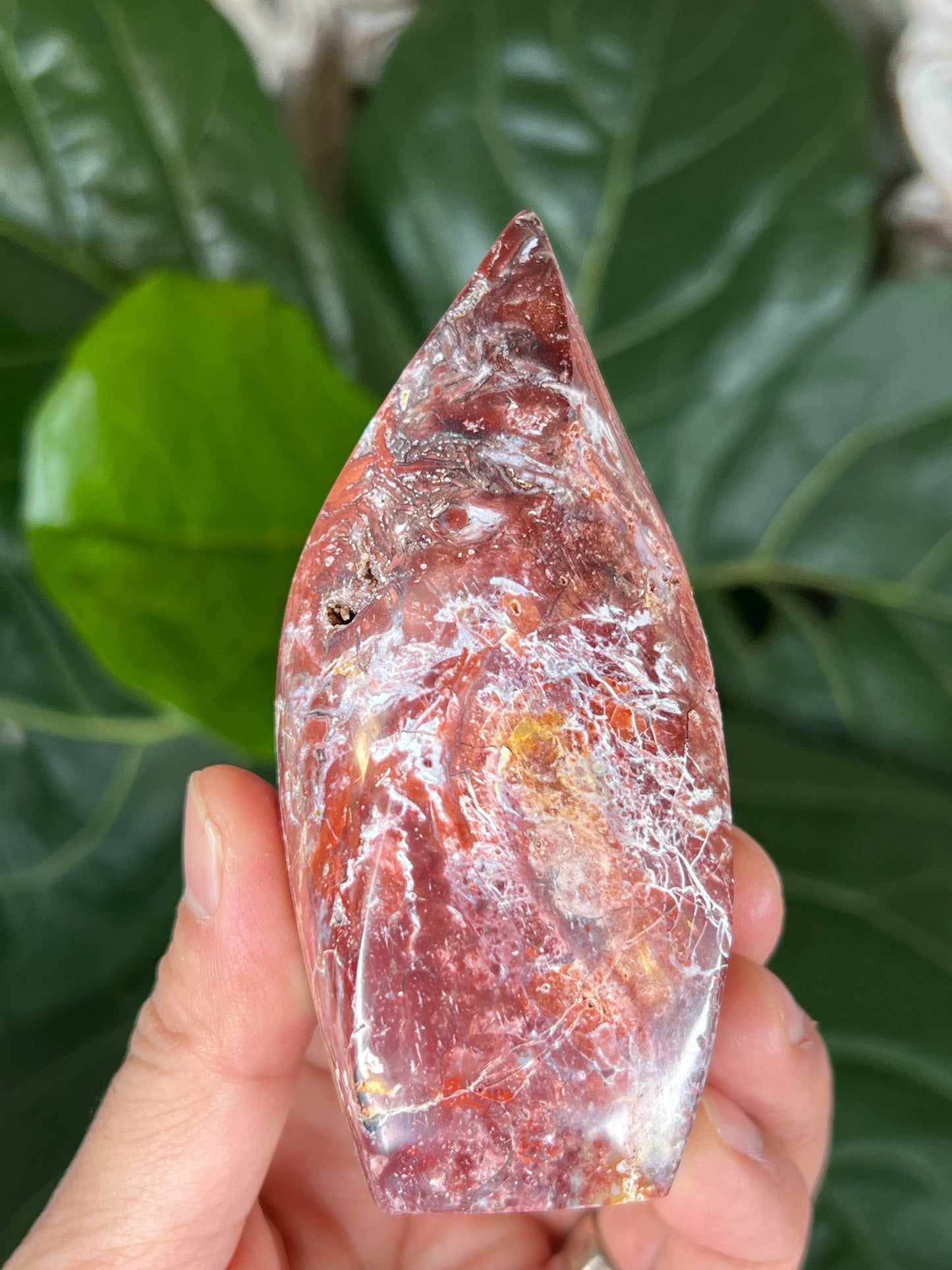 Red Scenic Jasper