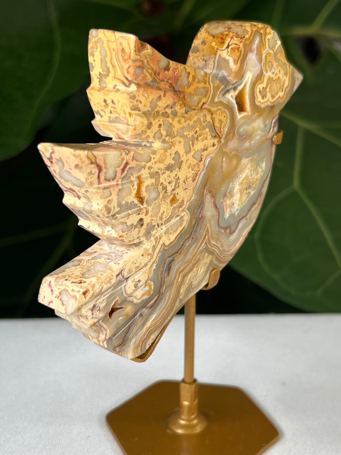 Crazy Lace Agate Bird