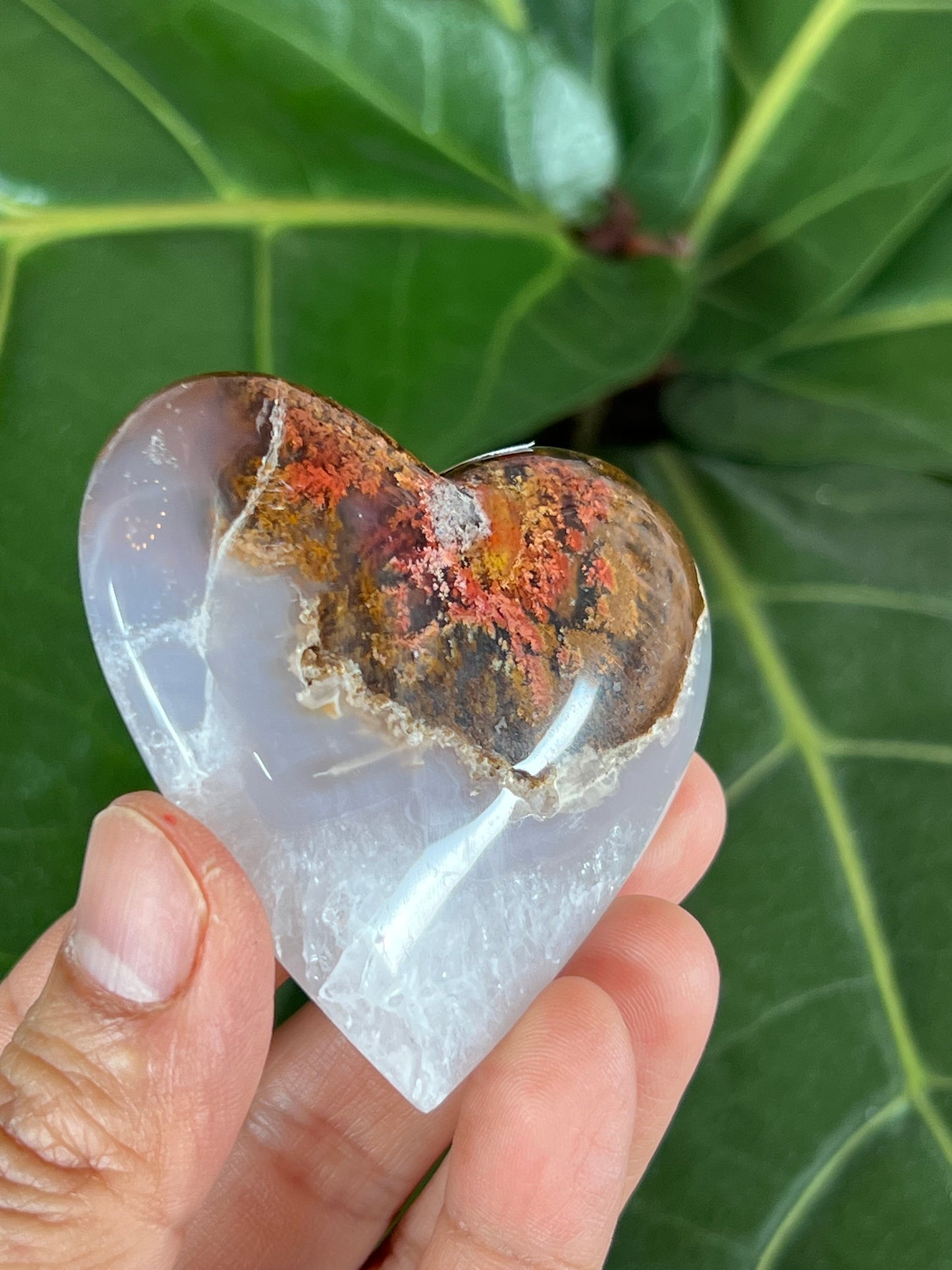 Scenic Moss Agate Heart