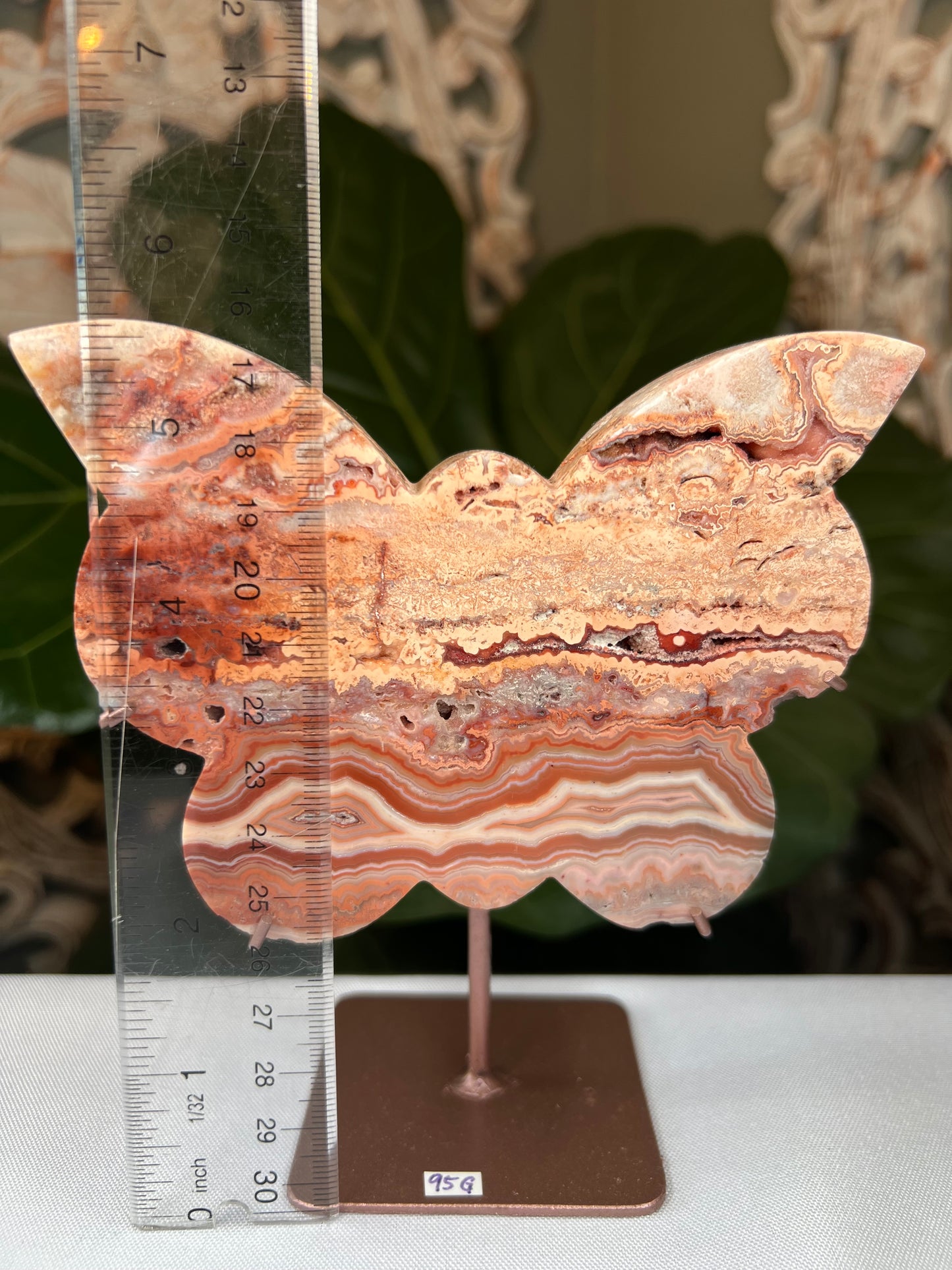 Crazy Lace Agate Butterfly