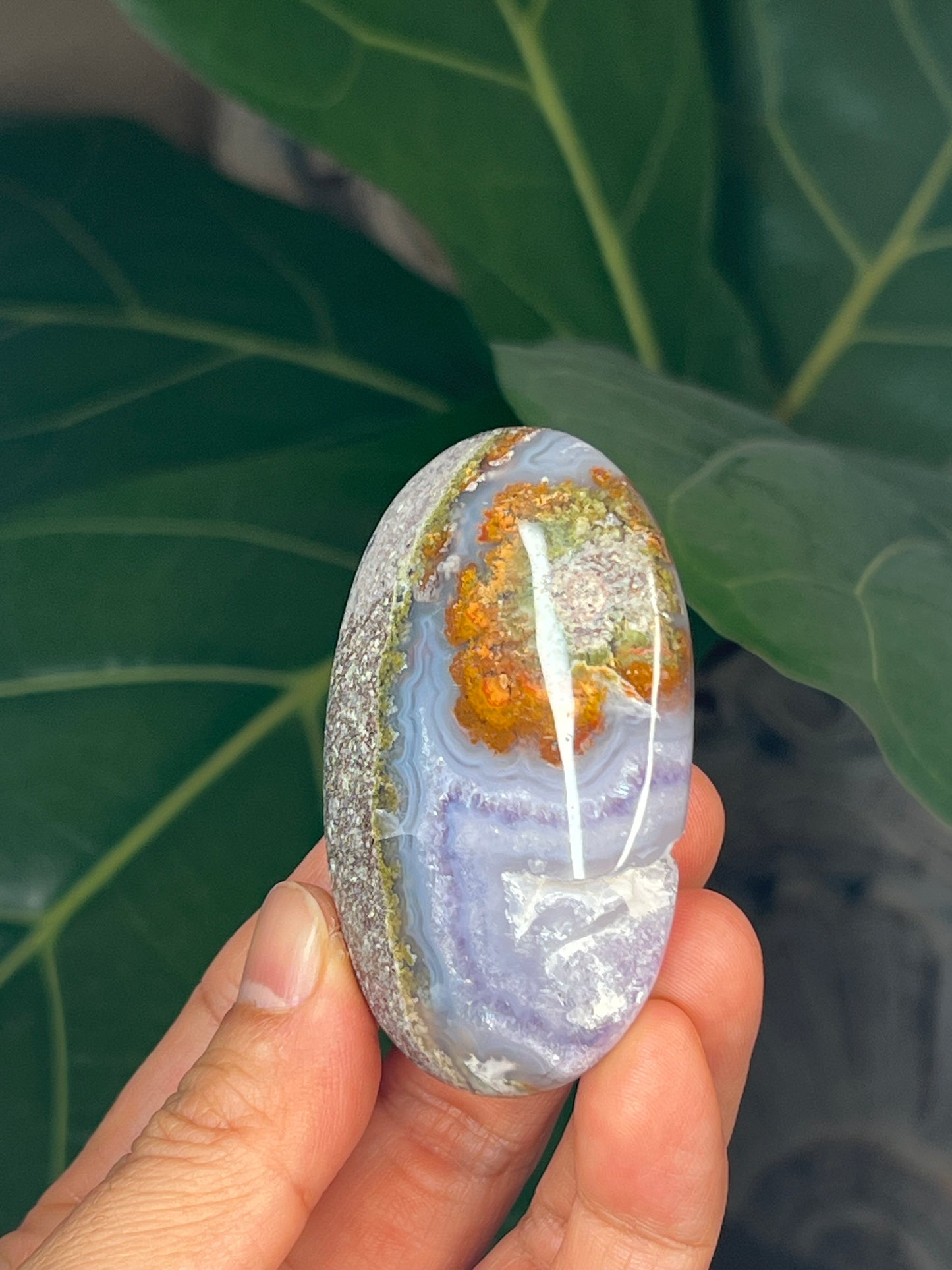 Scenic Moss Agate Palmstone