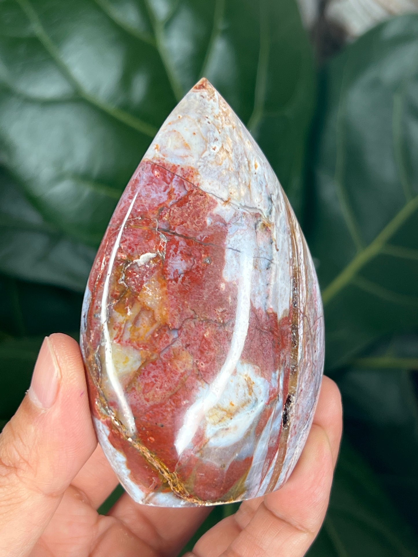 River Jasper Flame