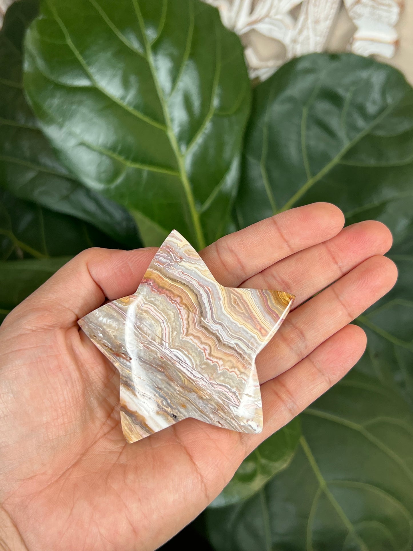 Crazy Lace Agate Star