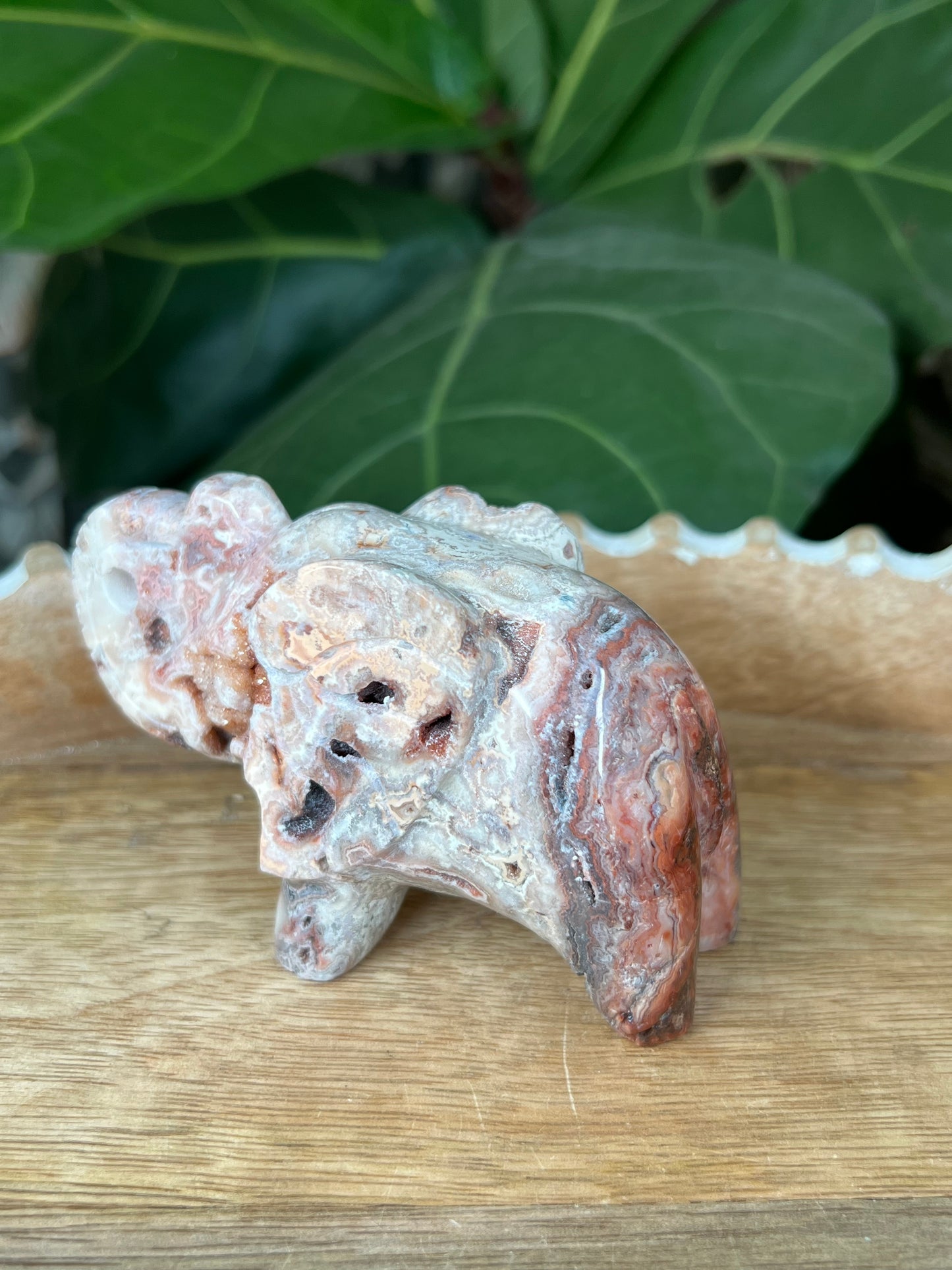 Crazy Lace Agate Elephant