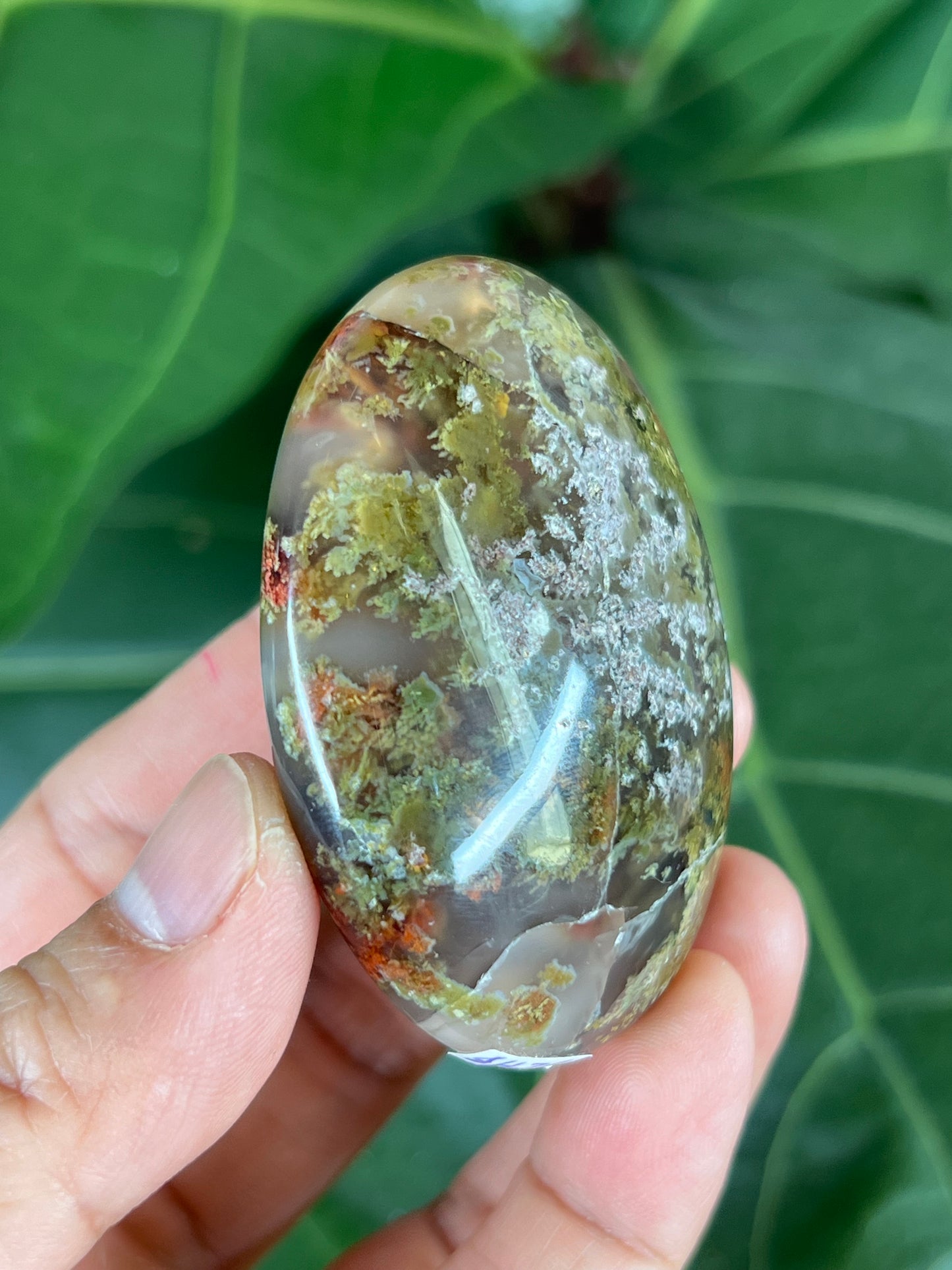 Scenic Moss Agate Palm Stone