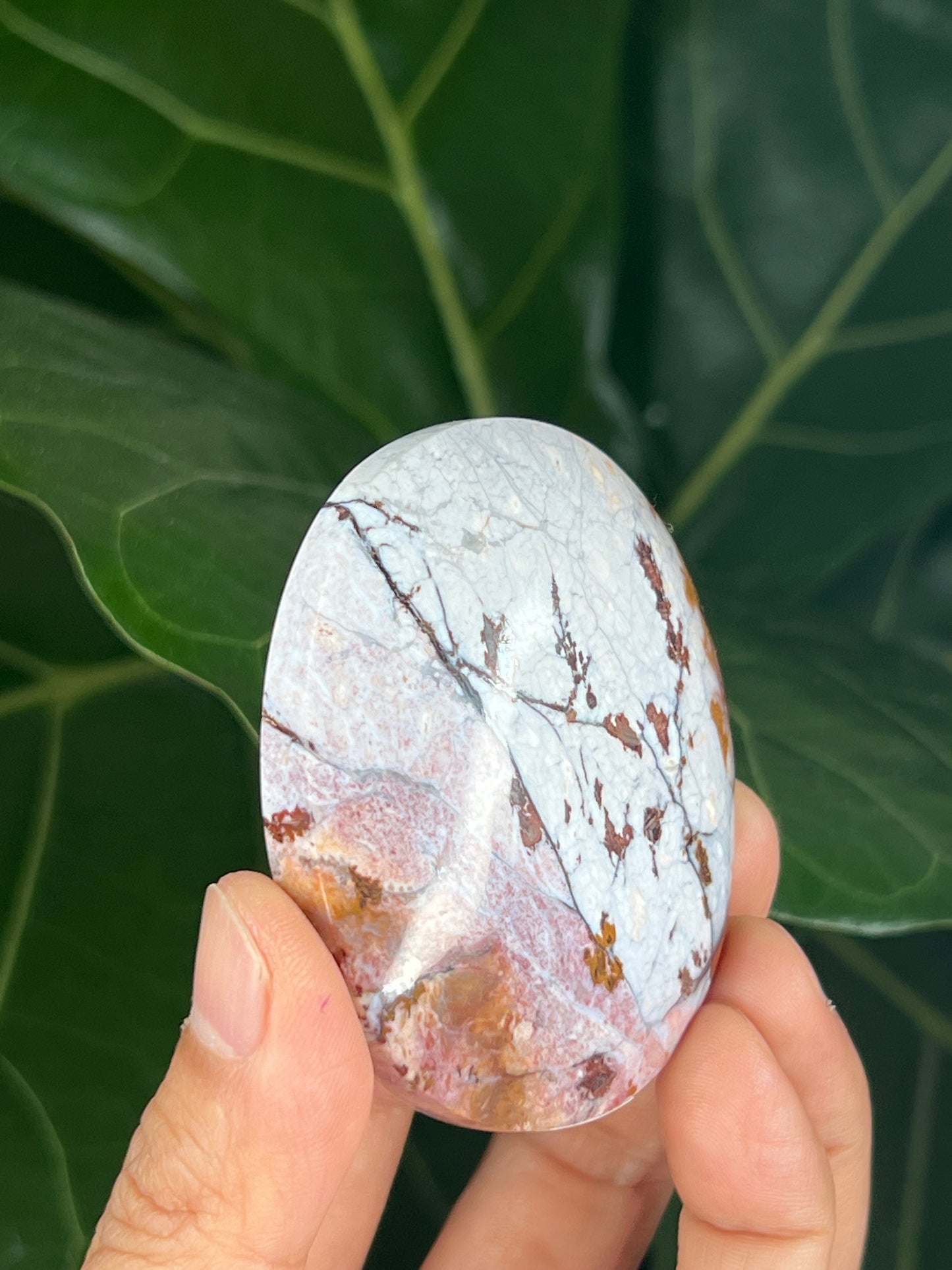 River Jasper Palmstone