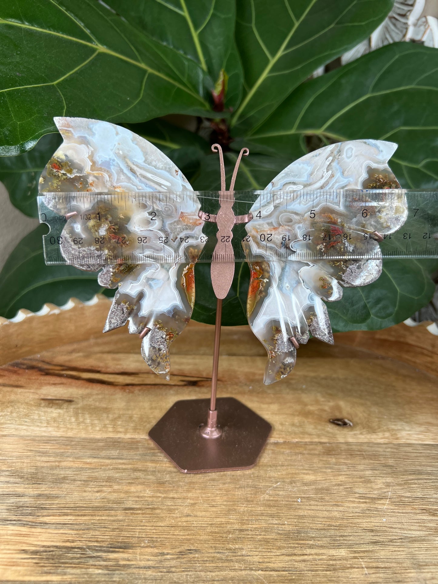 Scenic moss agate wings