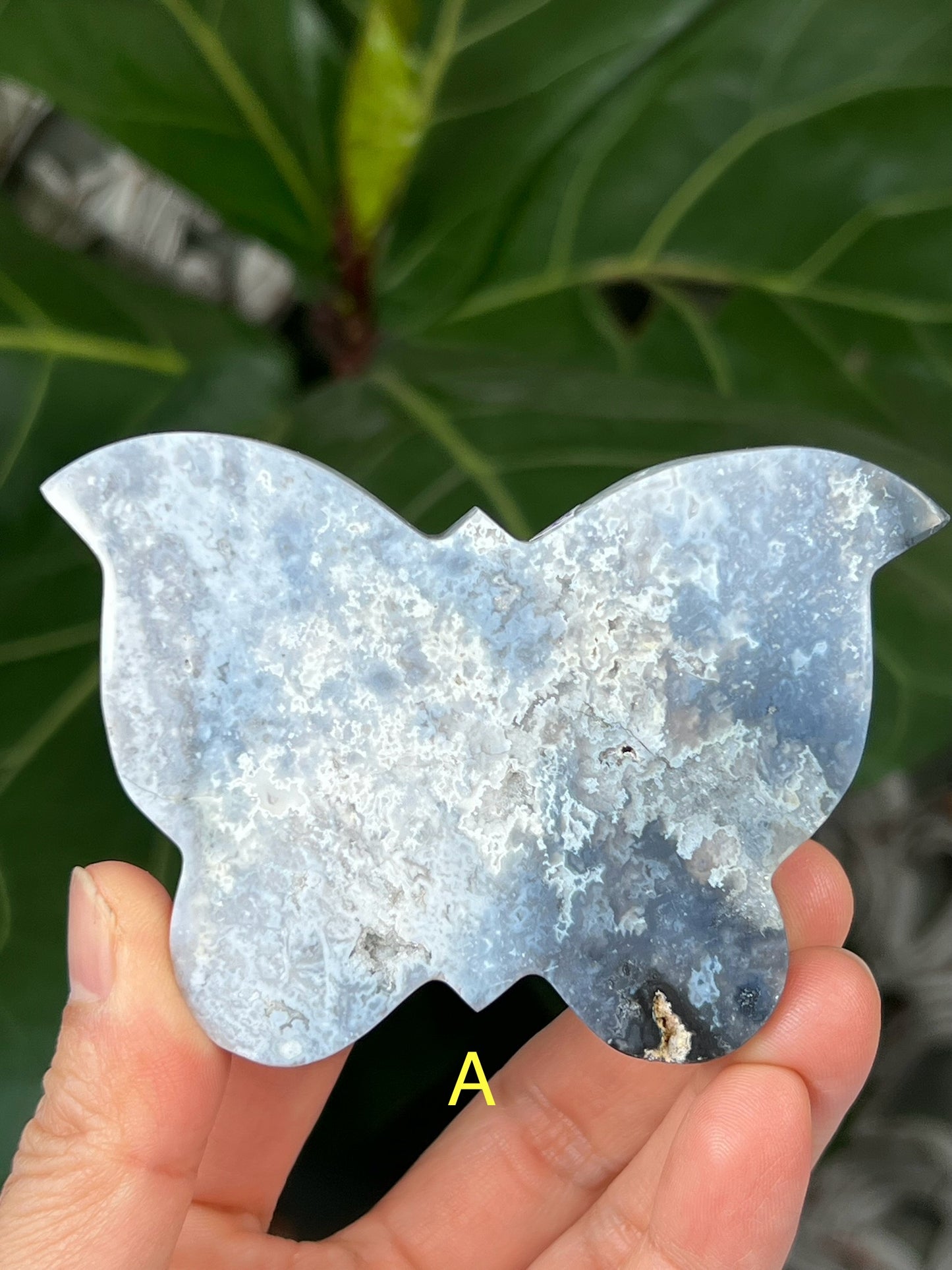 Blue Plume Agate Butterfly