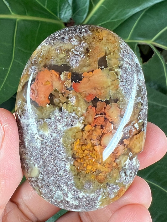 Scenic Moss Agate Palm Stone