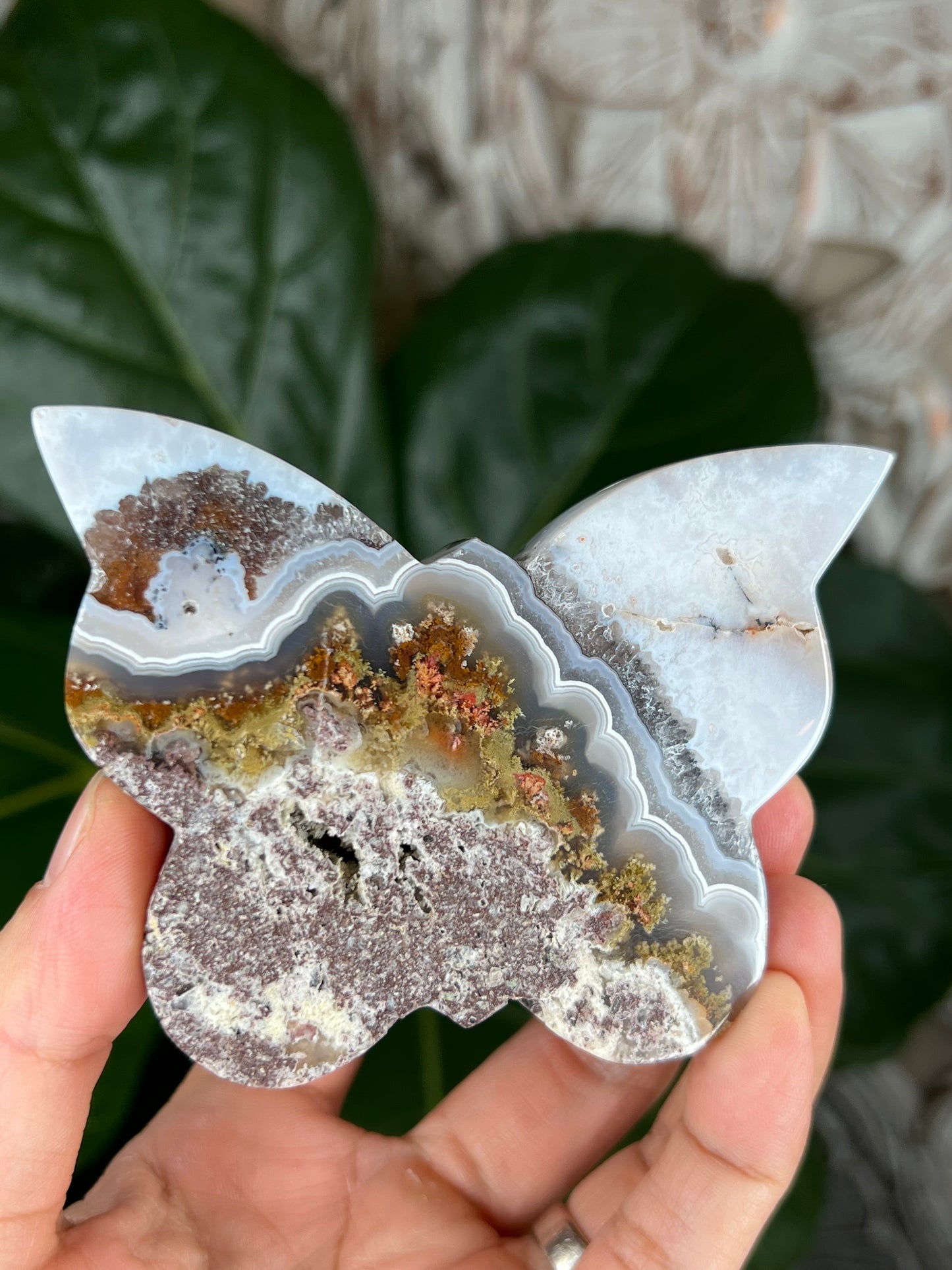 Scenic Moss Agate Butterfly