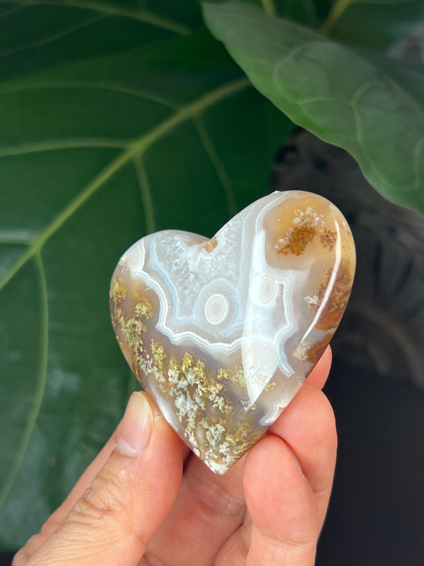 Scenic Moss Agate Heart