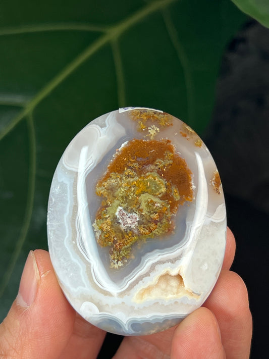 Scenic Moss Agate Palmstone