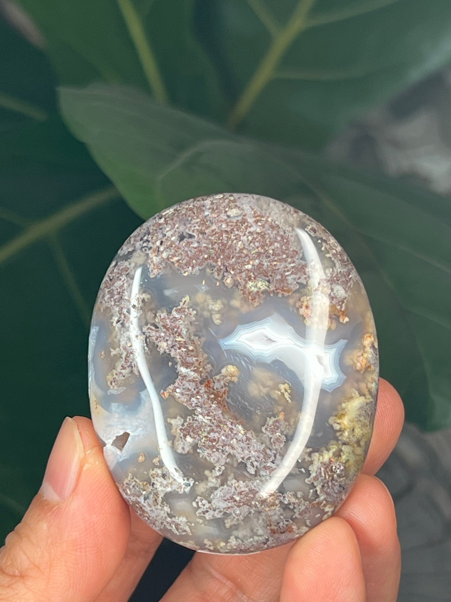 Scenic Moss Agate Palmstone