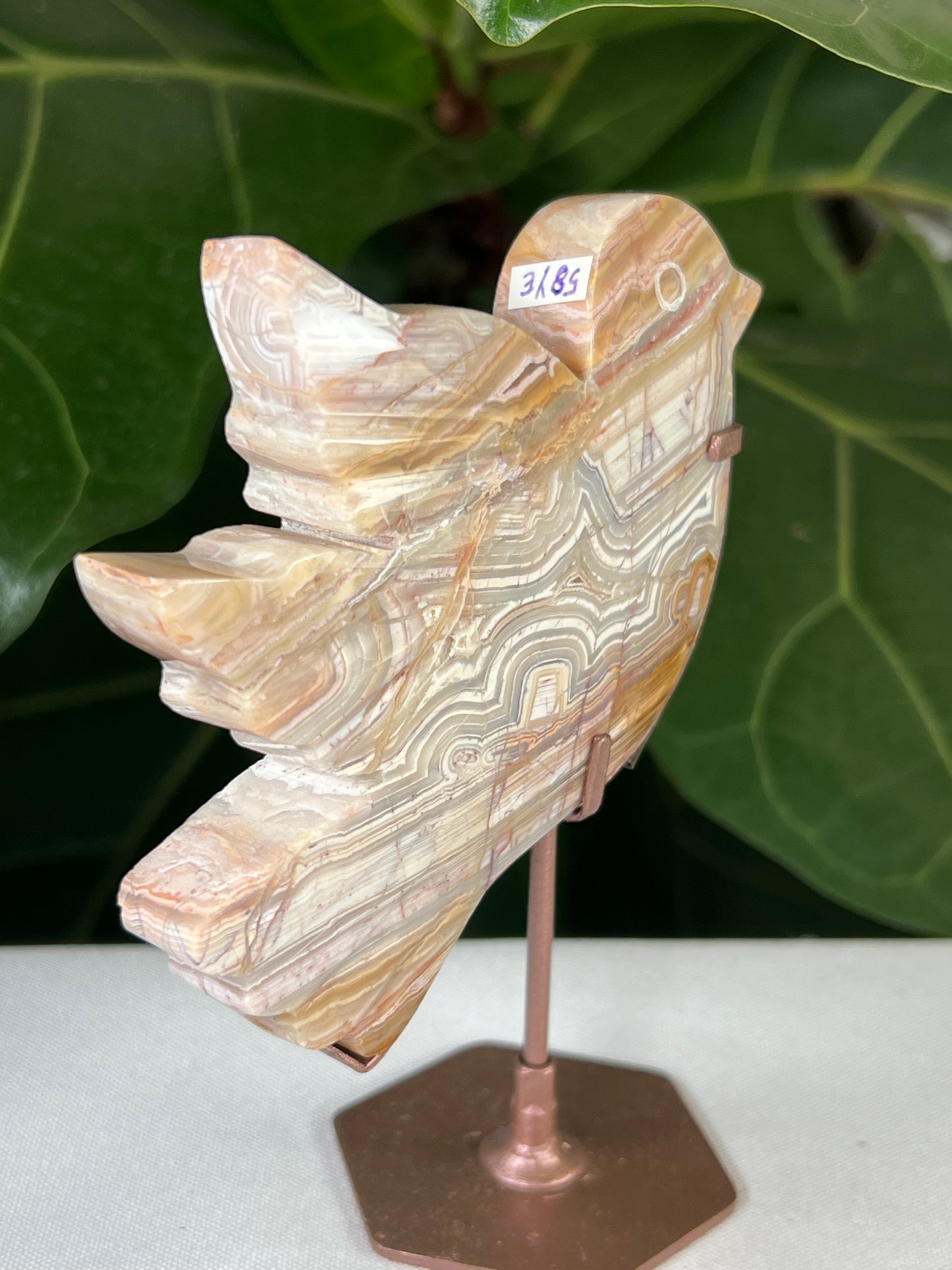 Crazy Lace Agate Bird