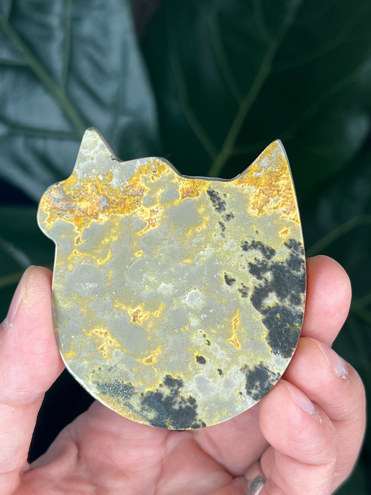 Bumblebee Jasper Cat Head