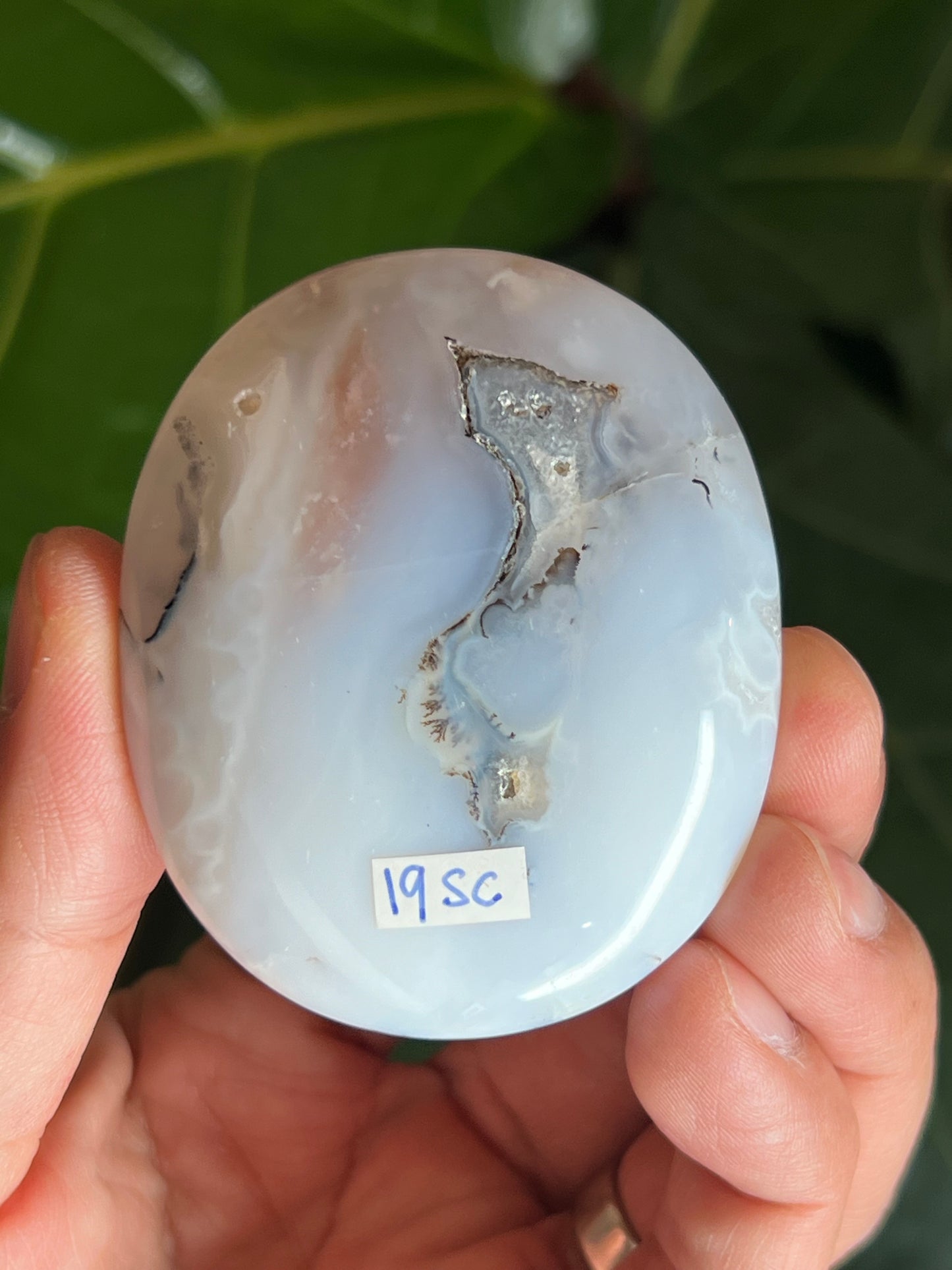 White Plume Agate Palmstone