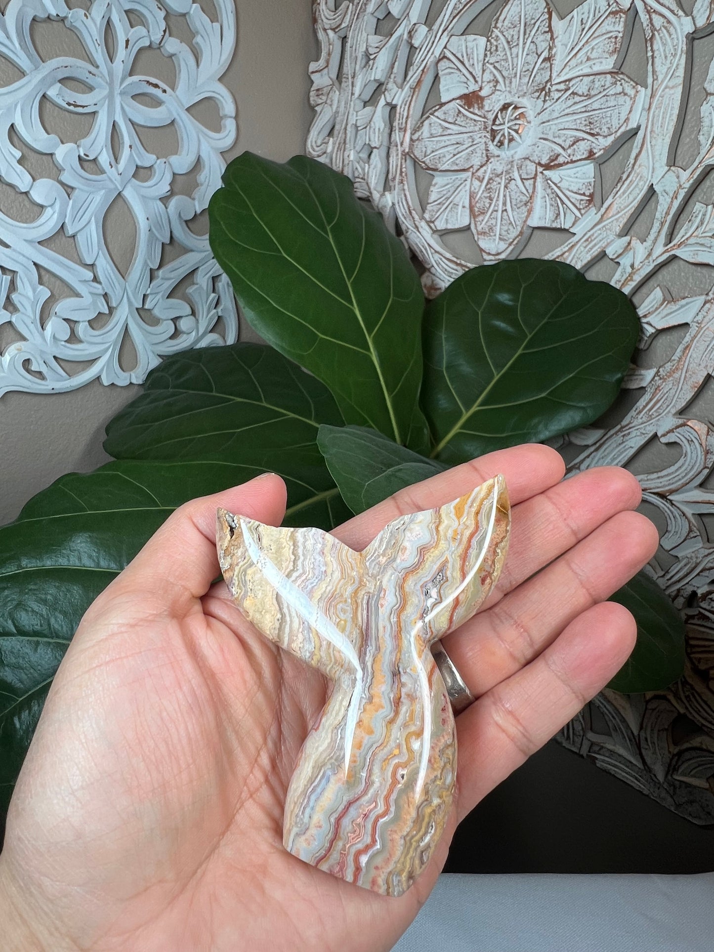 Crazy Lace Agate Mermaid tail