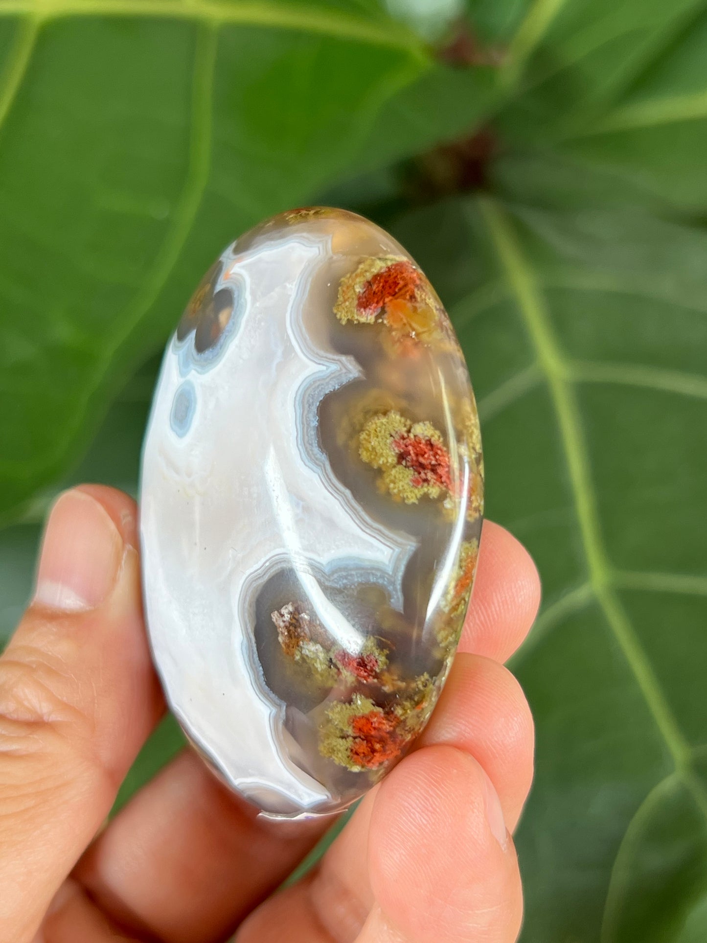 Scenic Moss Agate Palm Stone