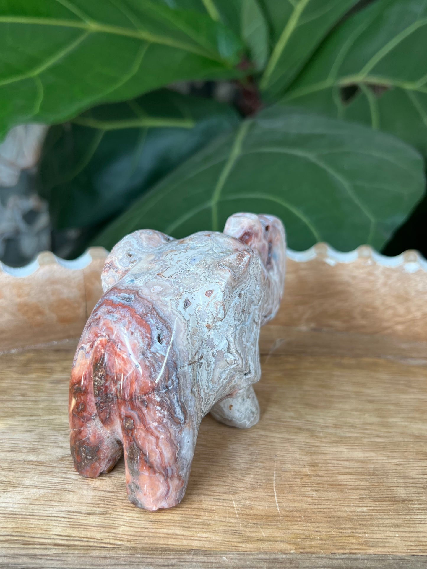 Crazy Lace Agate Elephant