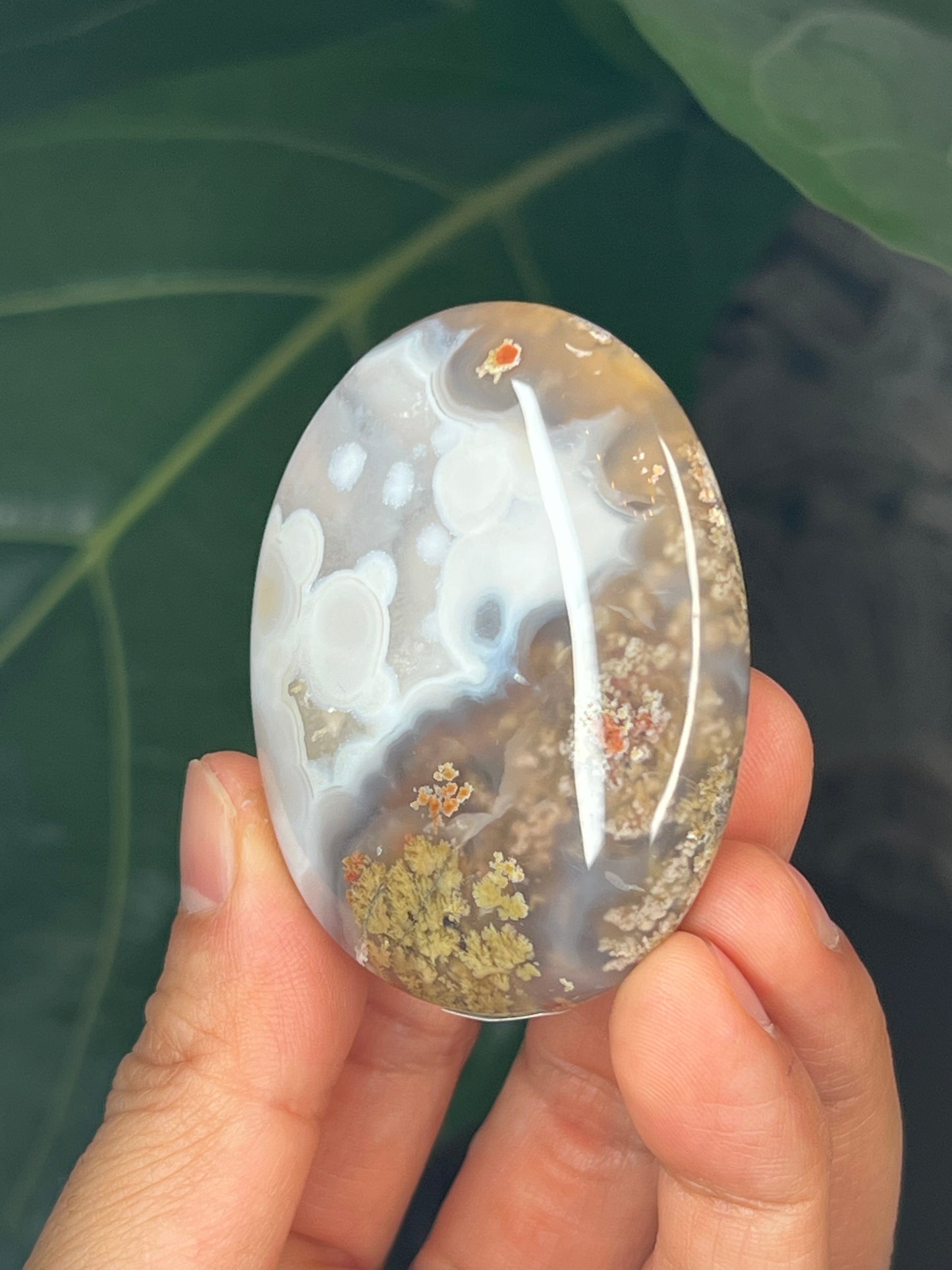 Scenic Moss Agate Palmstone