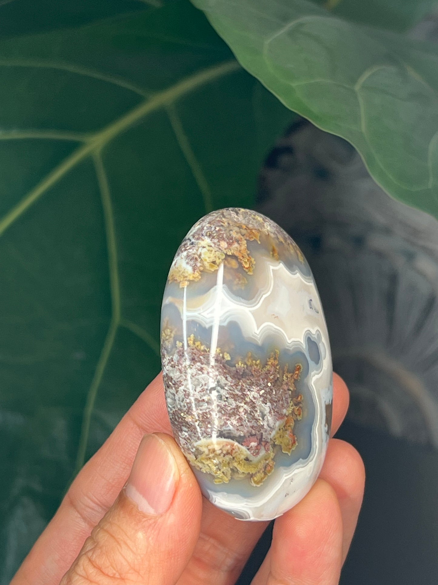 Scenic Moss Agate Palmstone