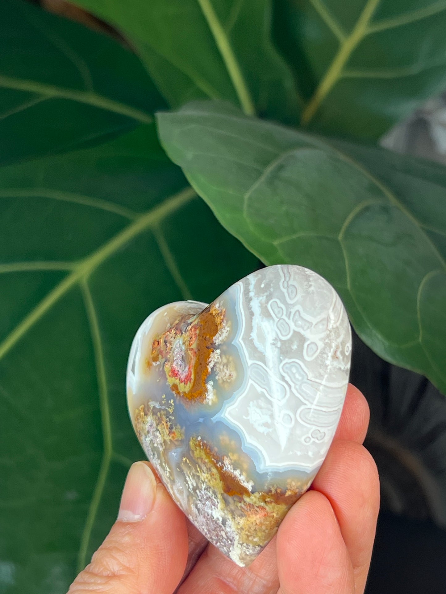 Scenic Moss Agate Heart