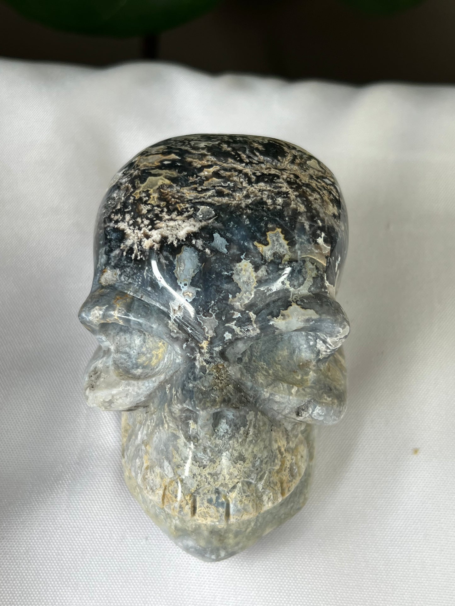 Blue Plume Agate Skull