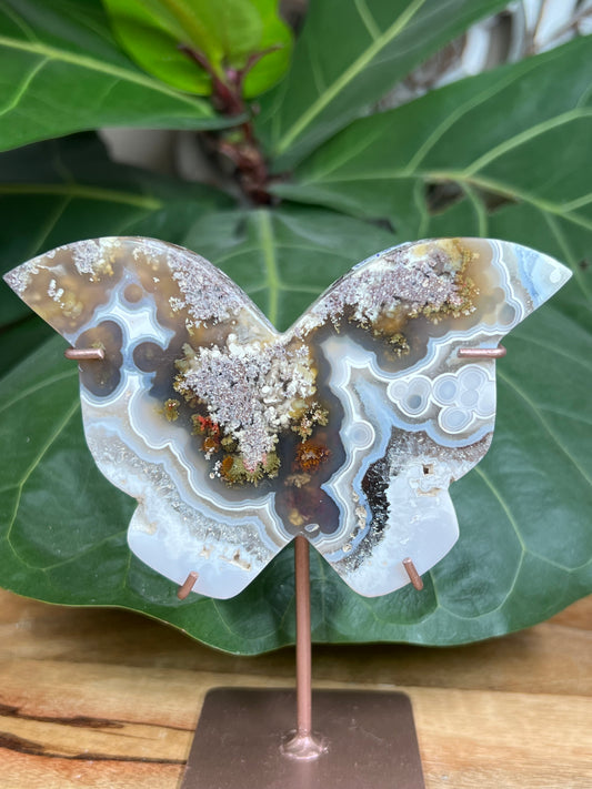 Scenic Moss Agate Butterfly