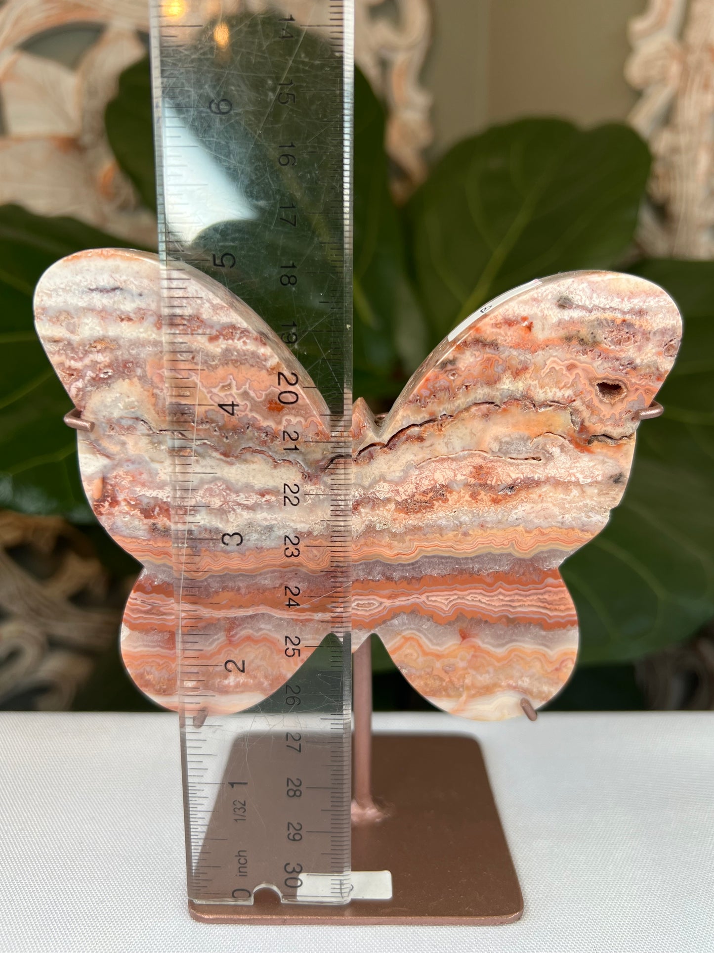 Crazy Lace Agate Butterfly