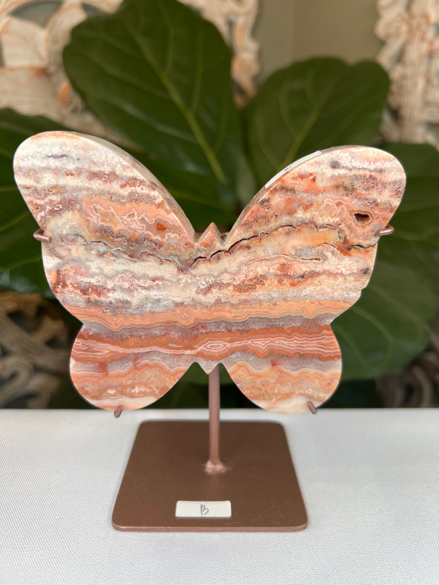 Crazy Lace Agate Butterfly