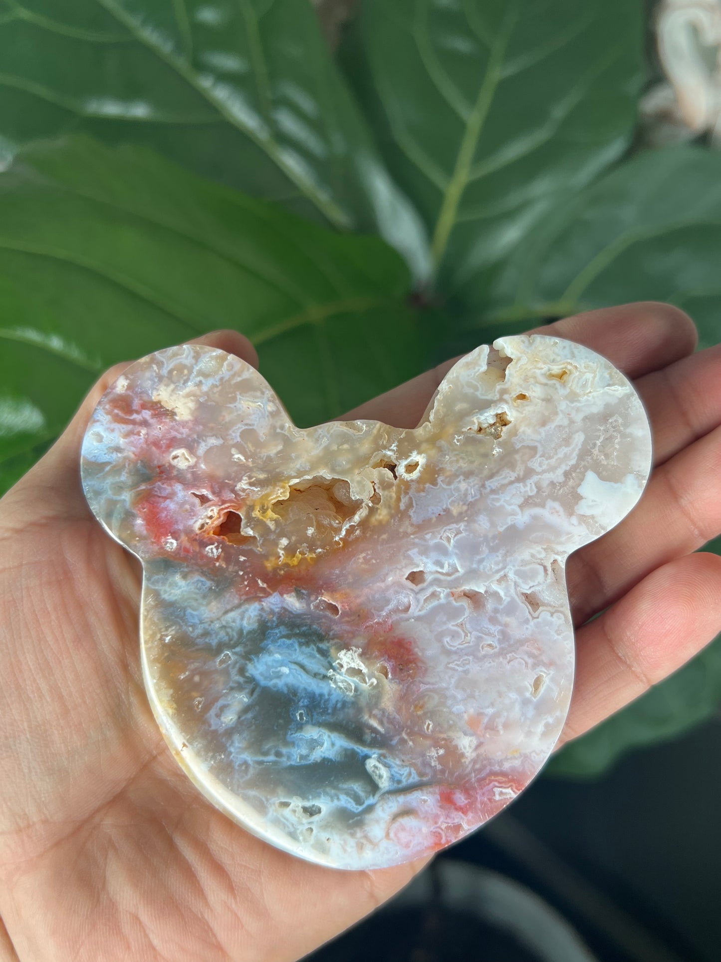 Rainbow Plume Agate Bear