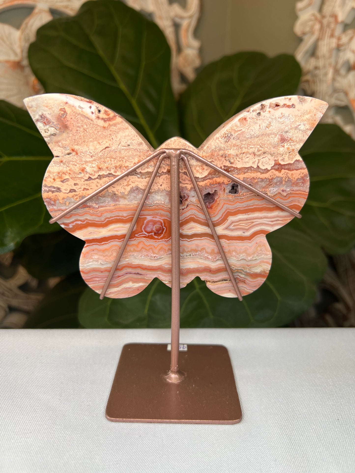 Crazy Lace Agate Butterfly