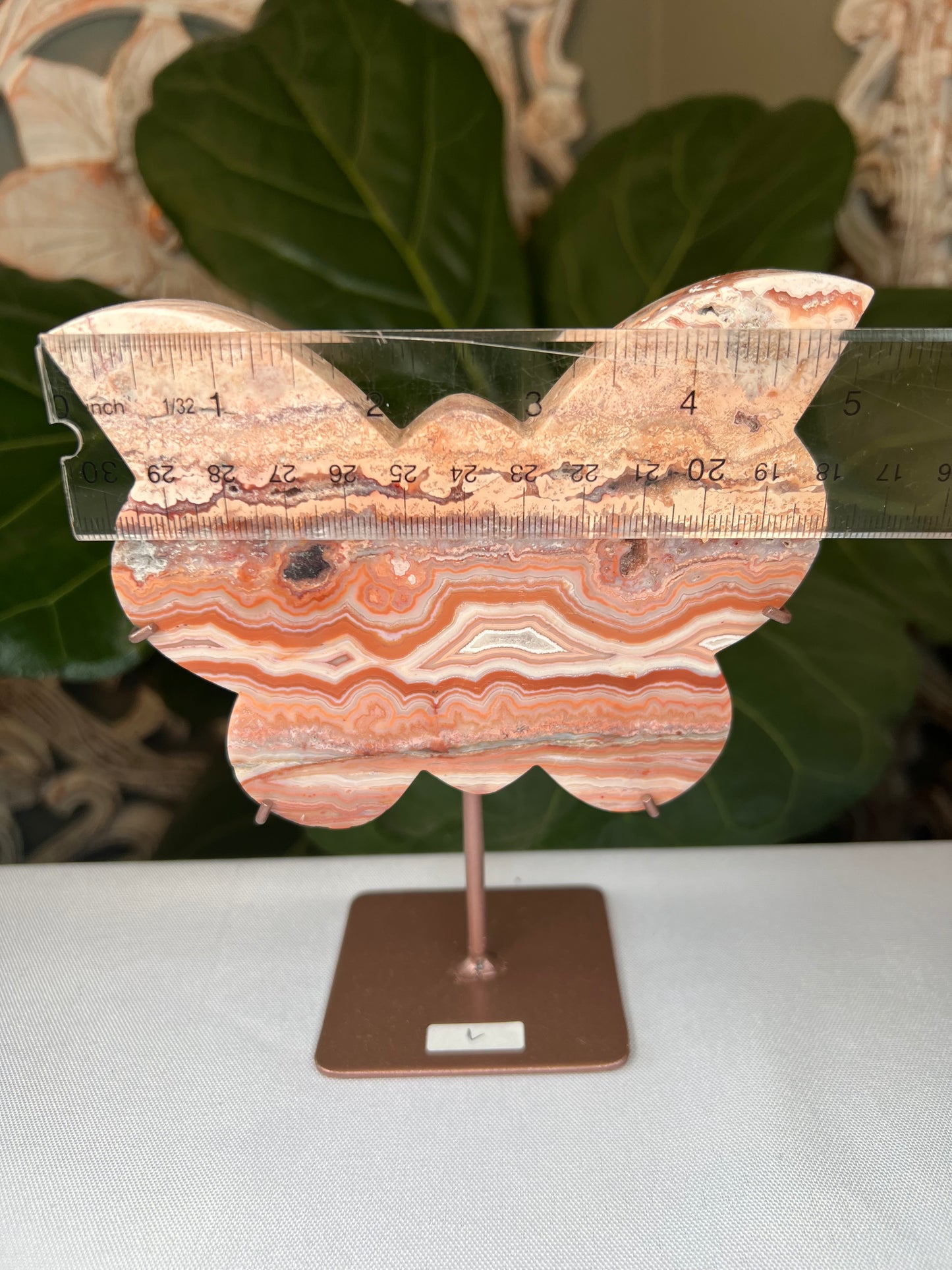 Crazy Lace Agate Butterfly