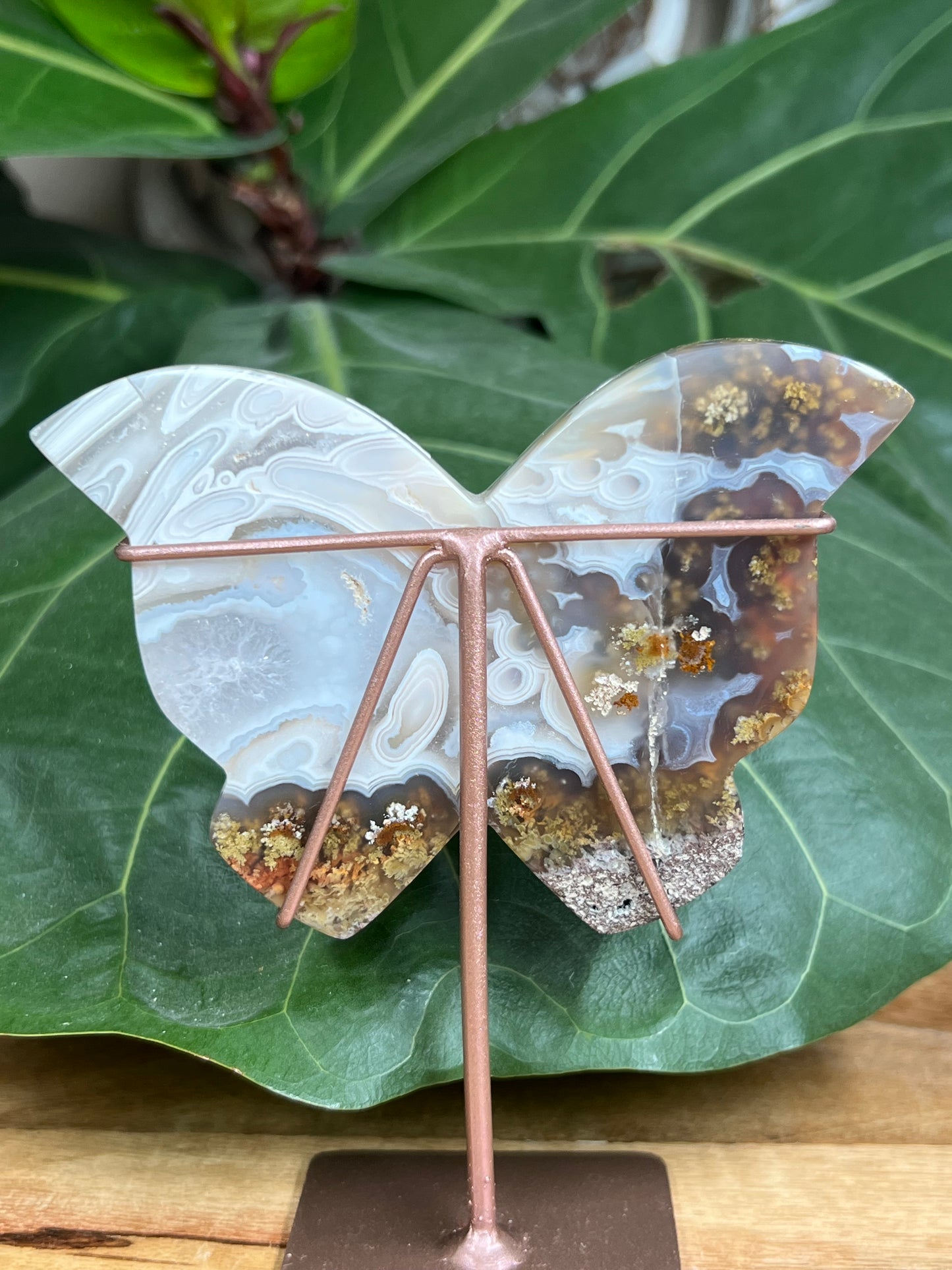 Scenic Moss Agate Butterfly