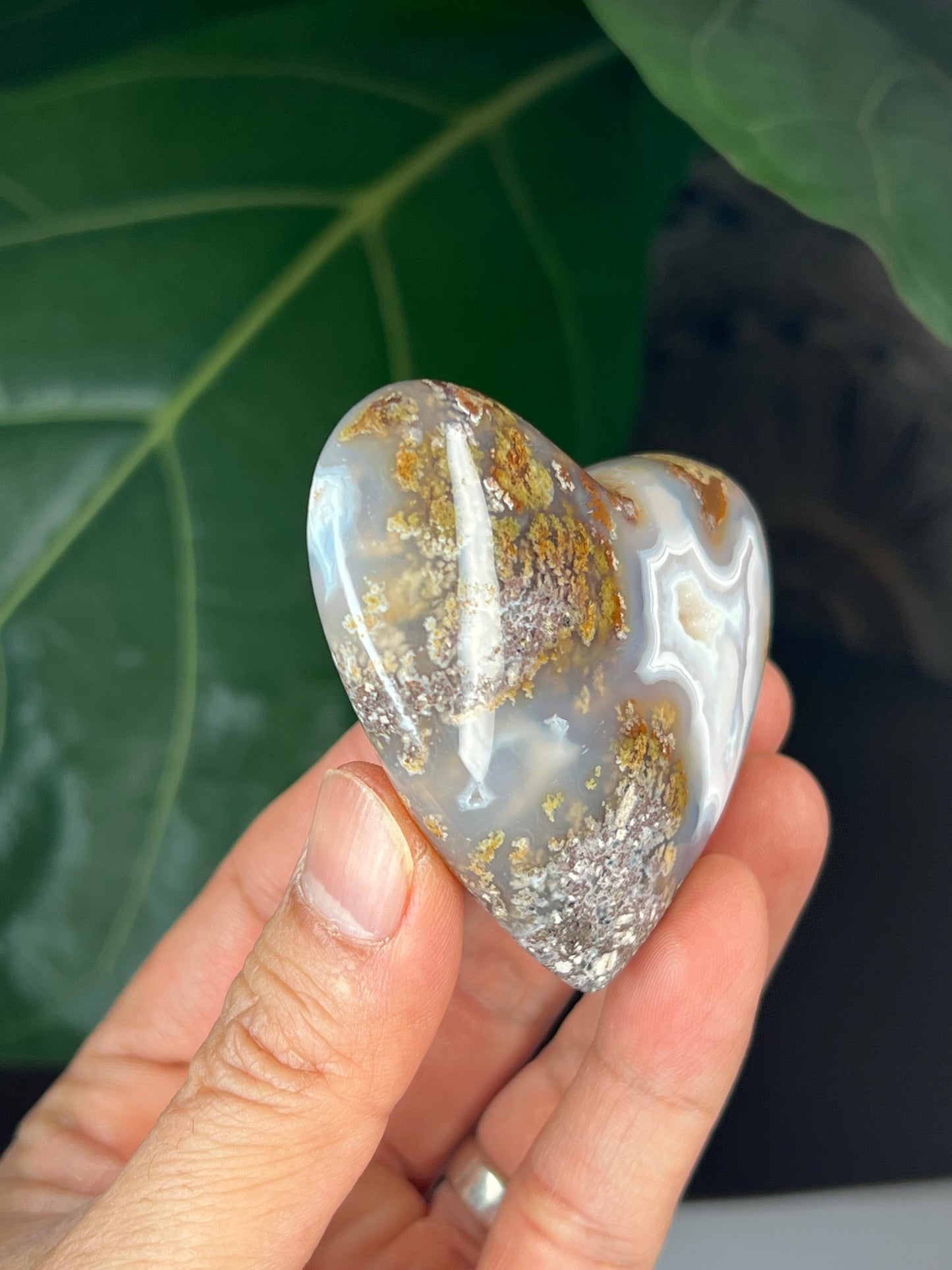 Scenic Moss Agate Heart