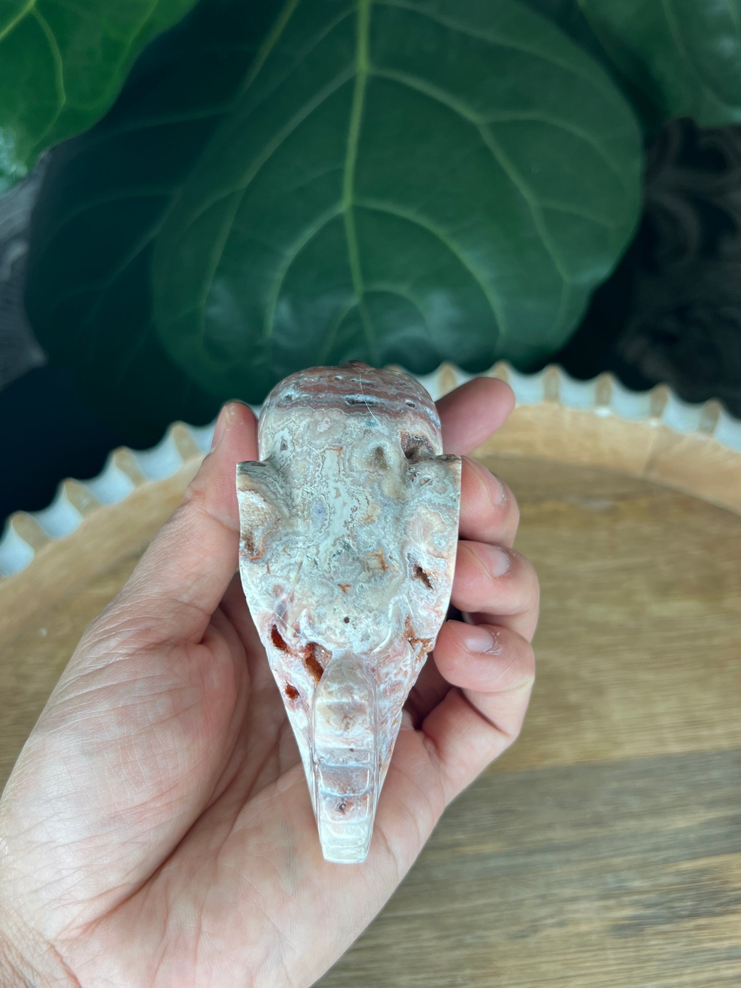 Crazy Lace Agate Elephant