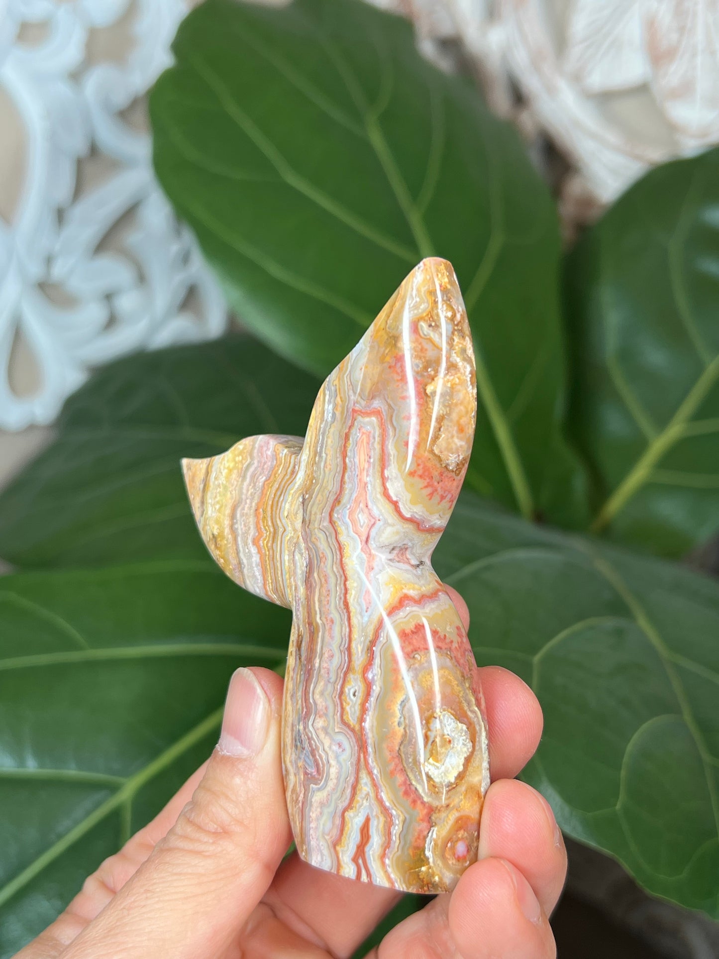 Crazy Lace Agate Mermaid tail