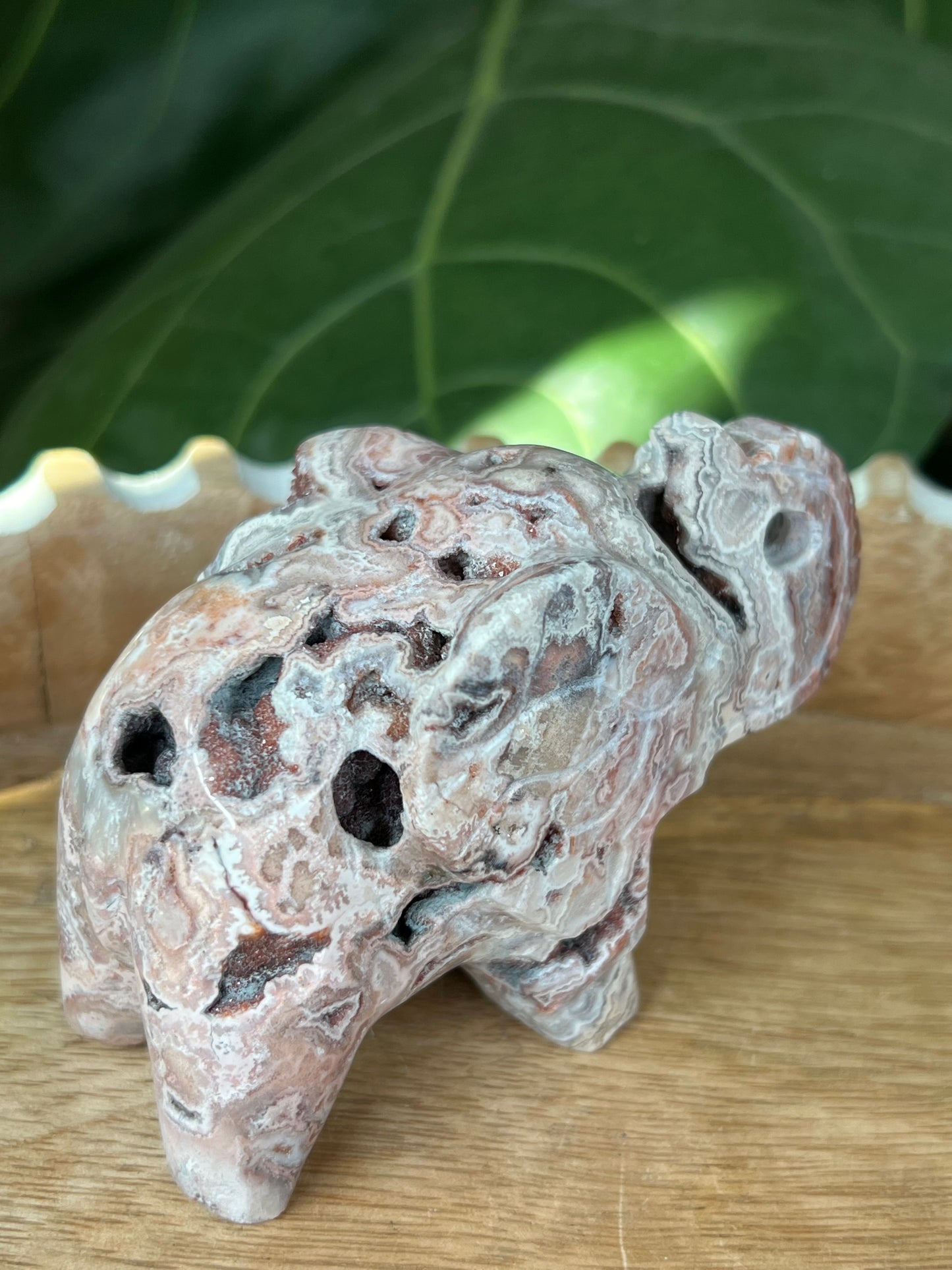 Crazy Lace Agate Elephant