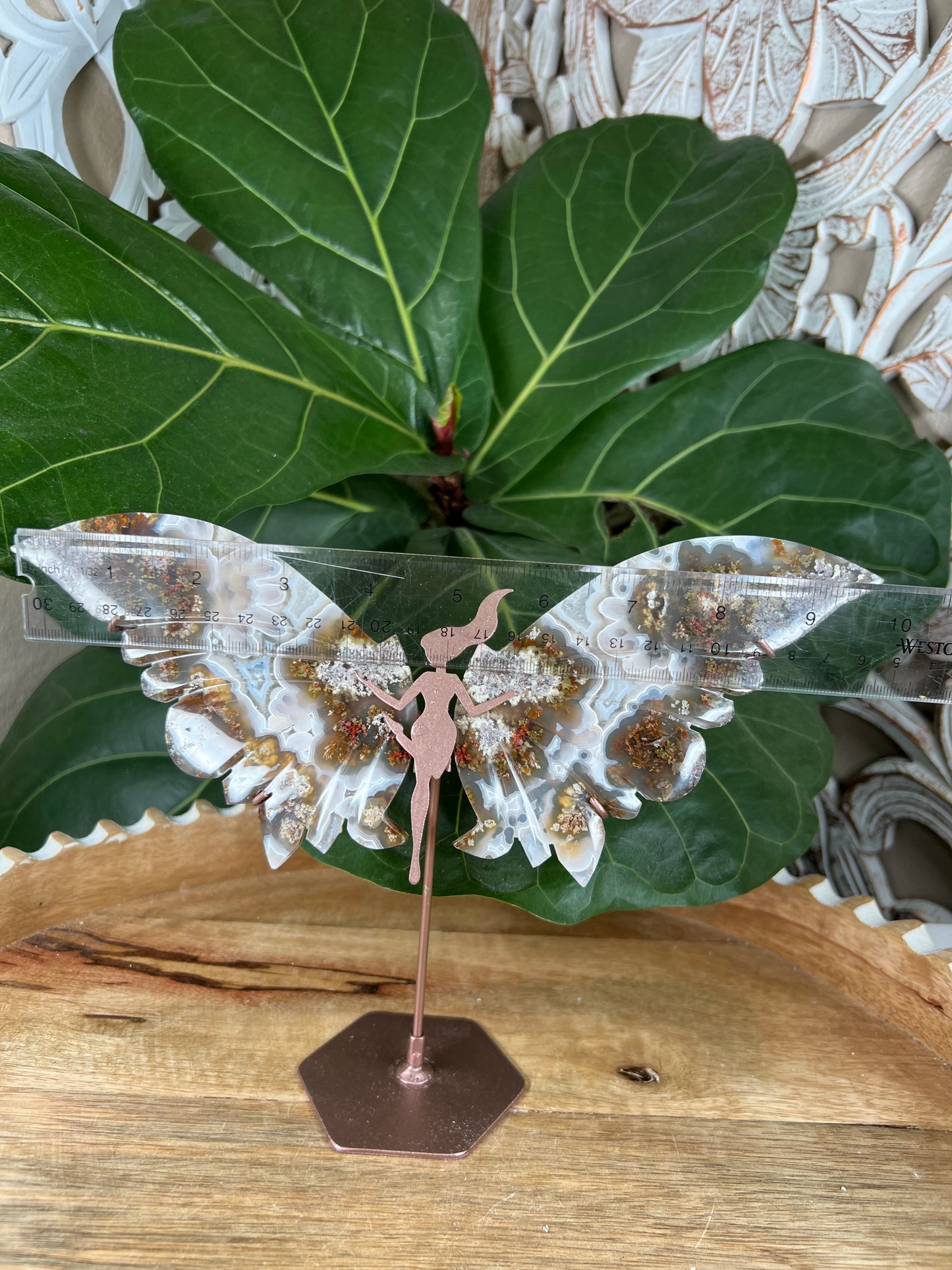 Scenic moss agate wings