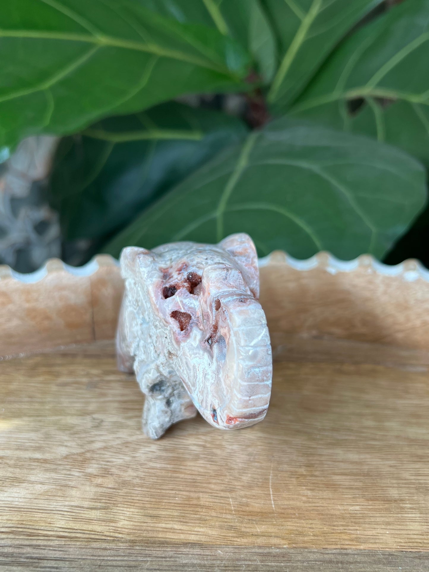 Crazy Lace Agate Elephant