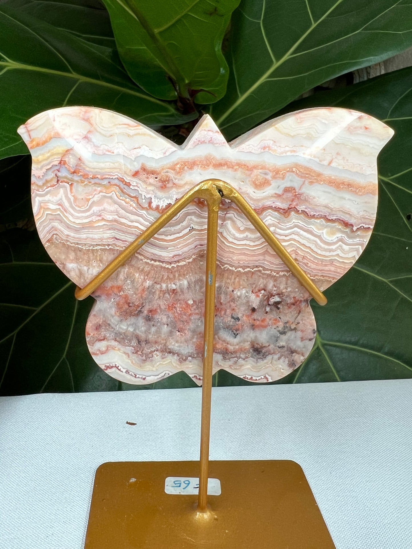 Crazy Lace Agate Butterfly