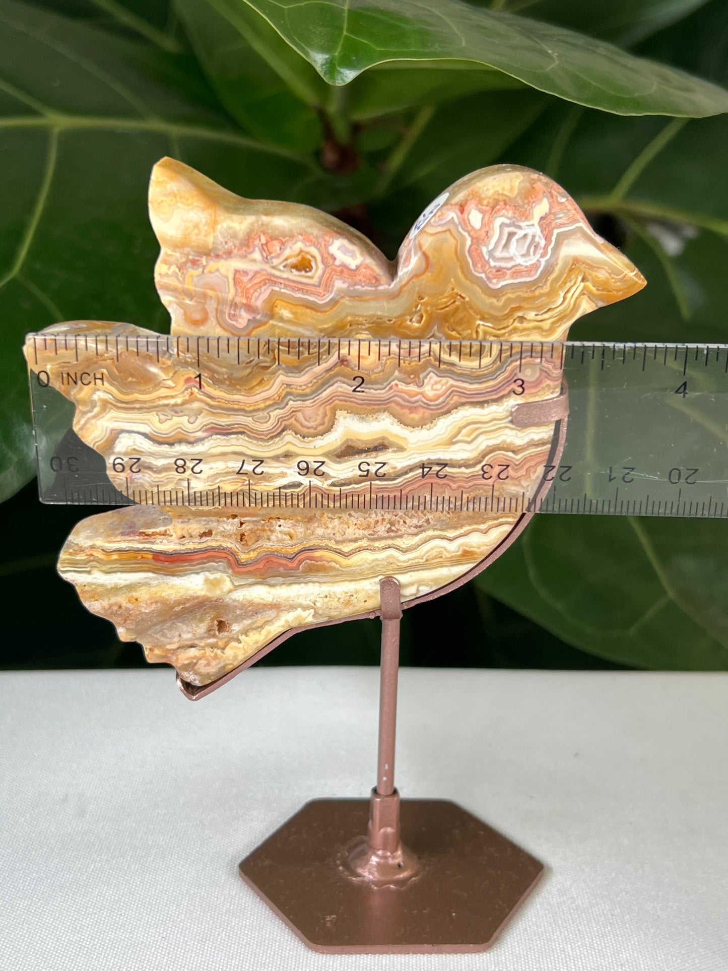 Crazy Lace Agate Bird