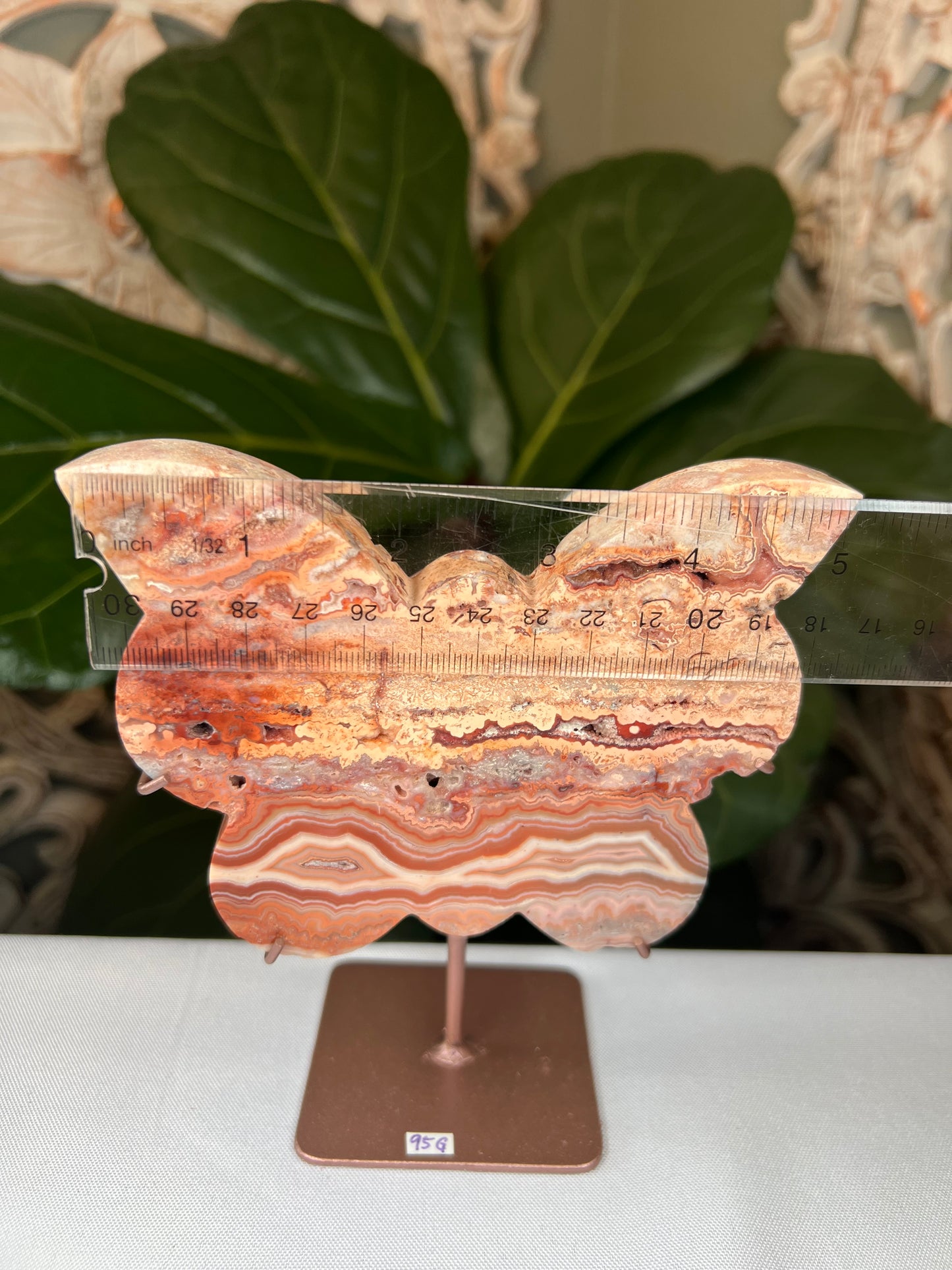 Crazy Lace Agate Butterfly