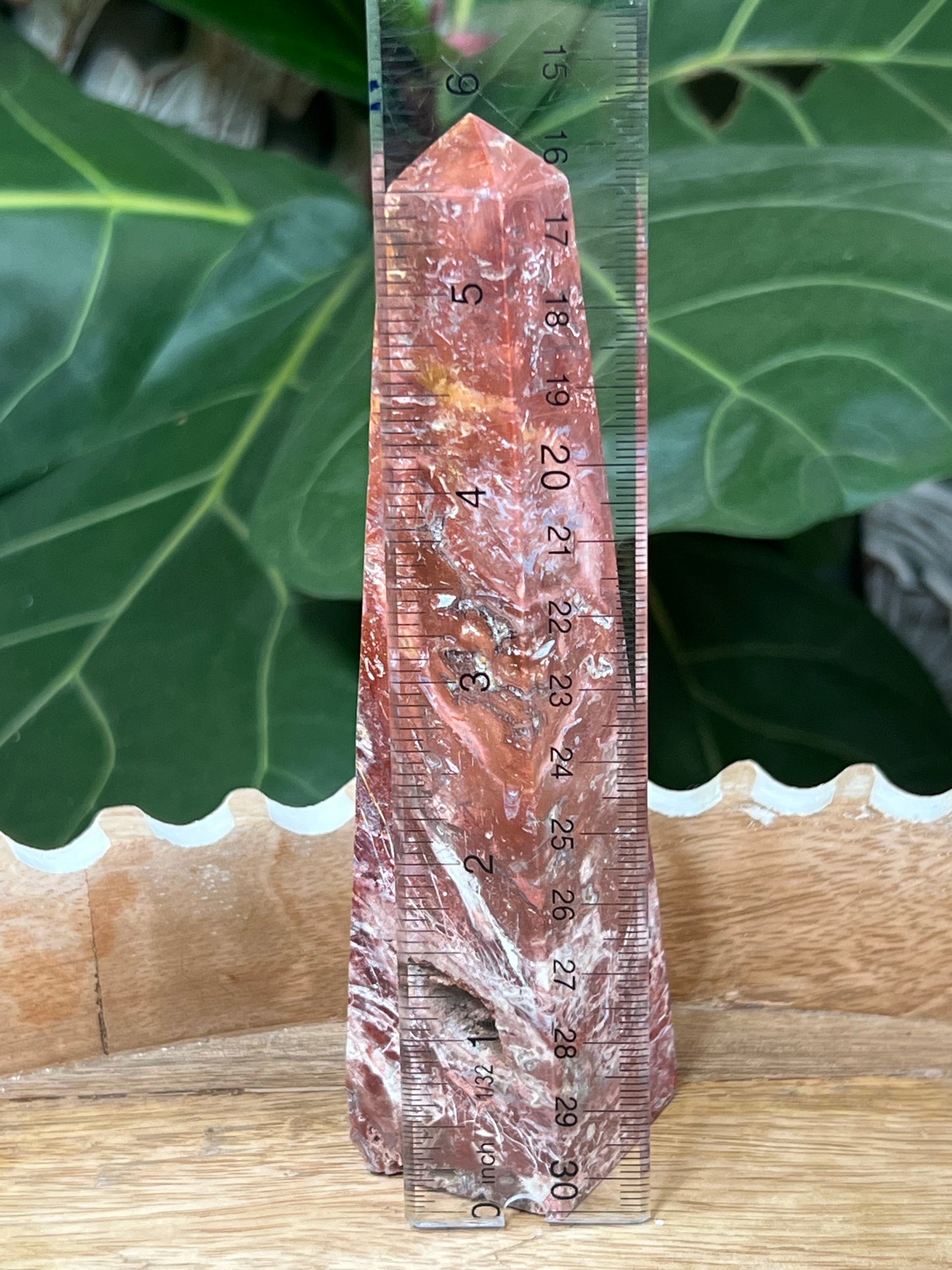 Red Scenic Jasper