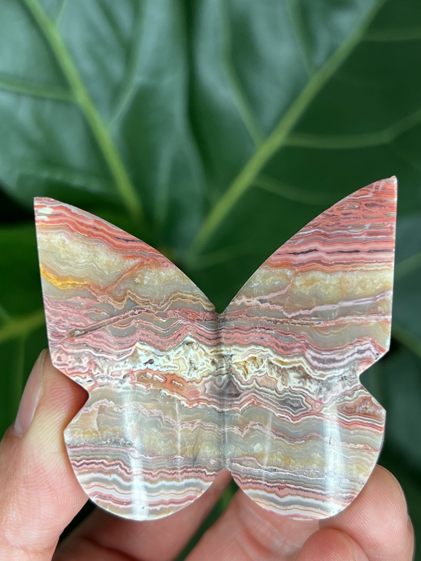 3D Butterfly Crazy Lace Agate